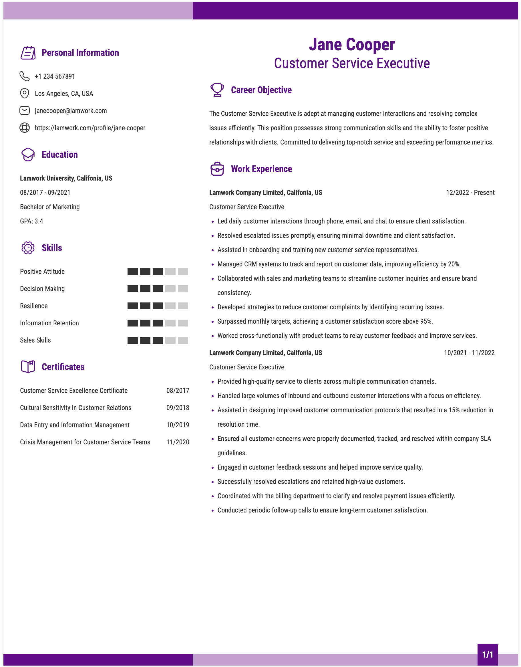 Customer Service Executive Resume Example