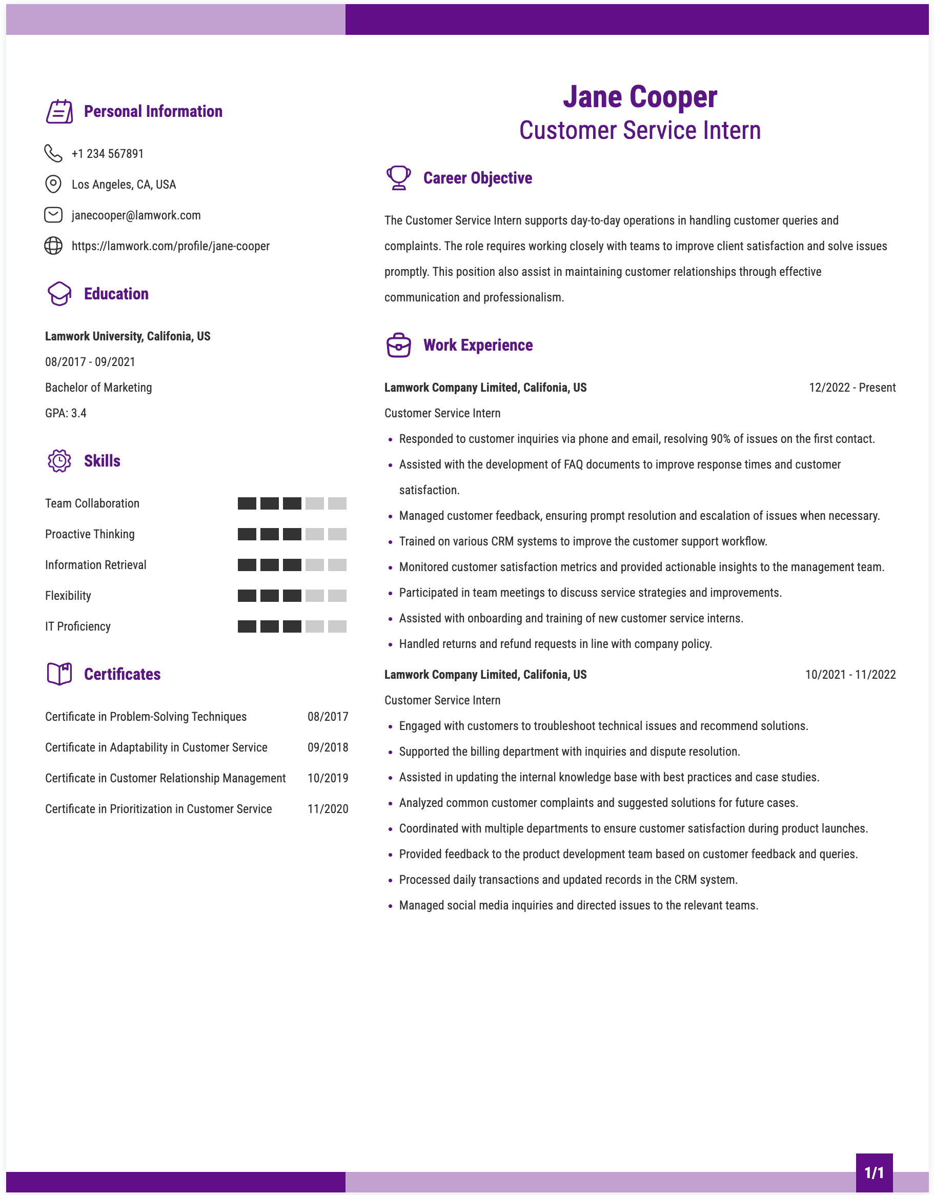 Customer Service Intern Resume Example
