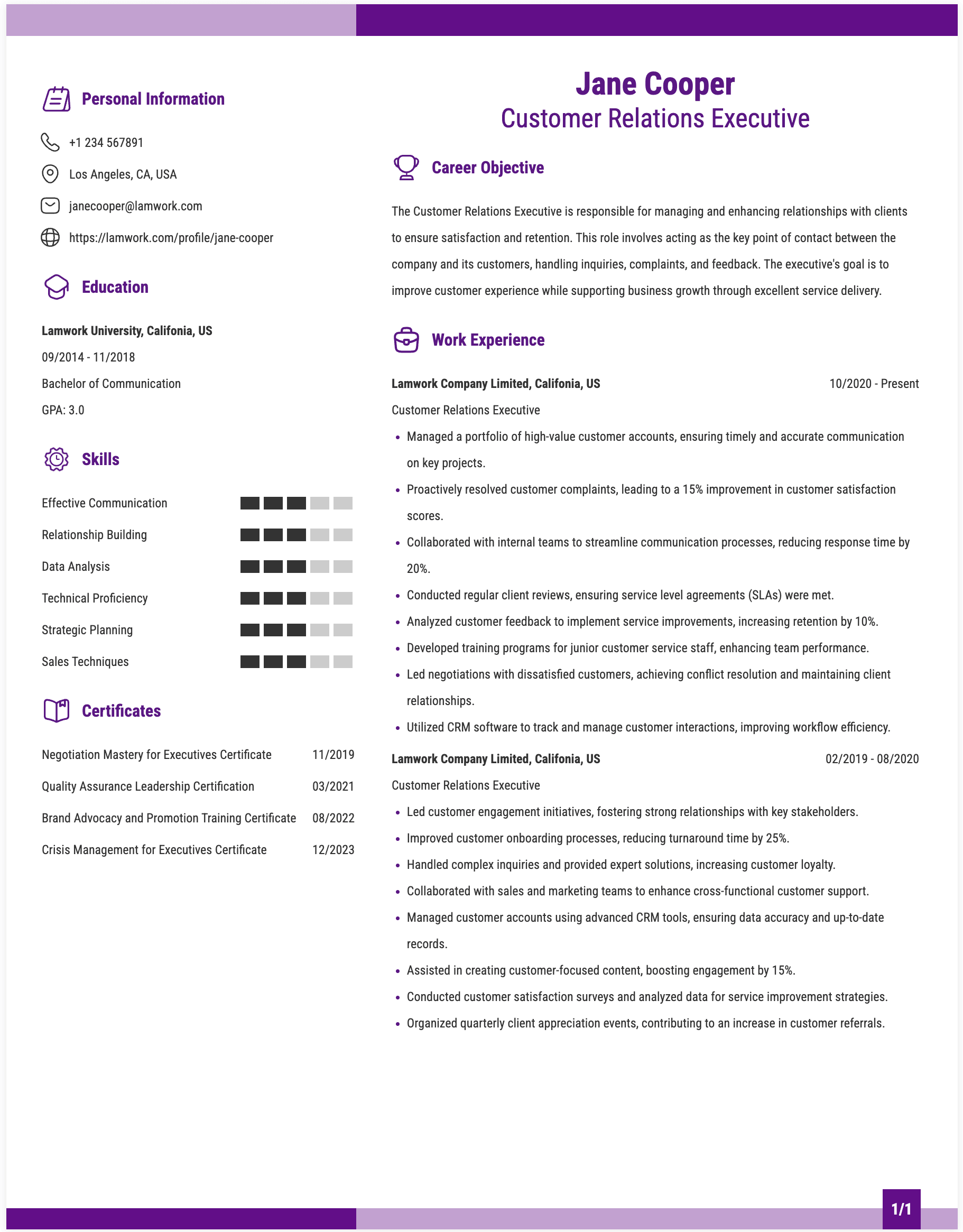 Customer Relations Executive Resume Example