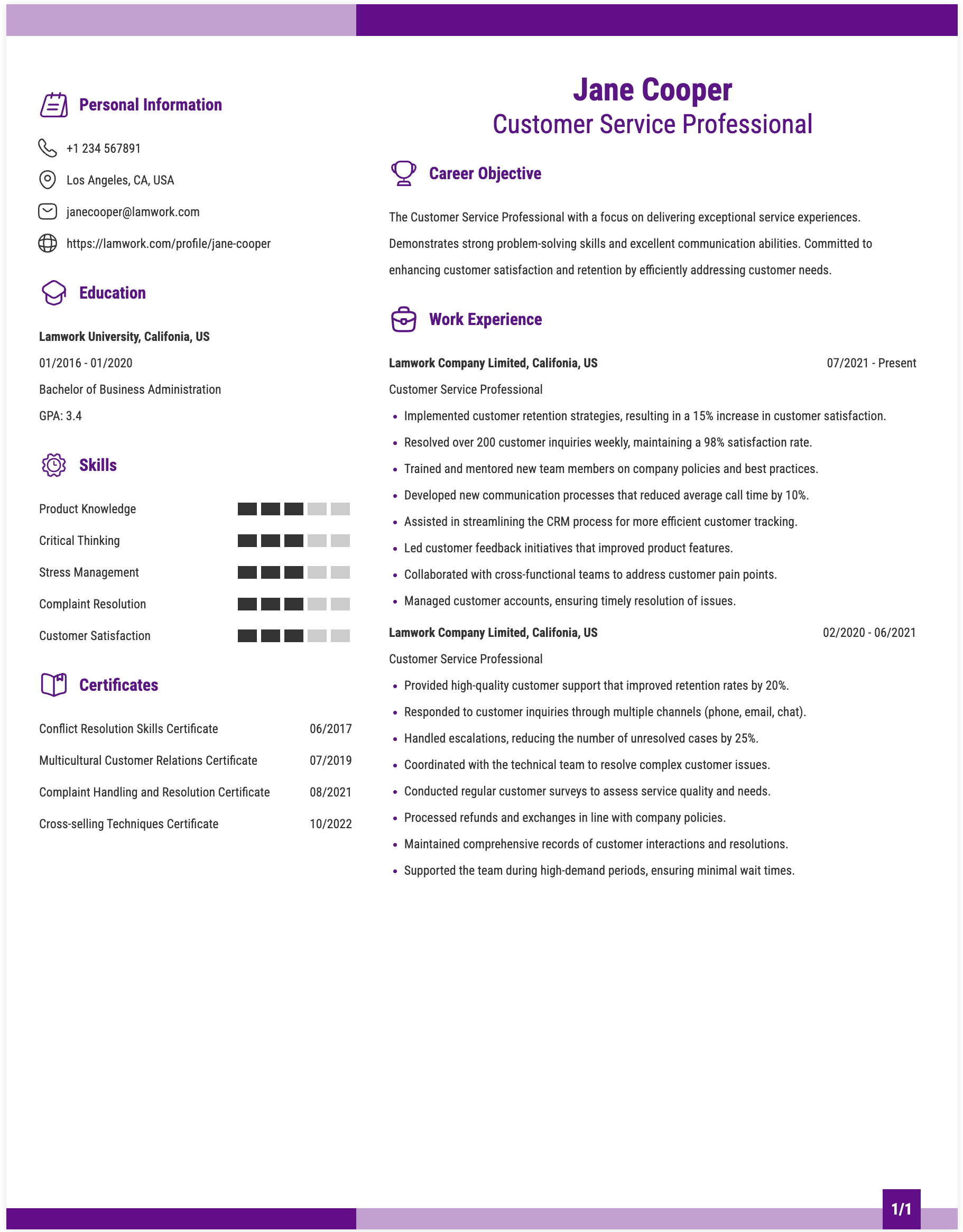 Customer Service Professional Resume Example