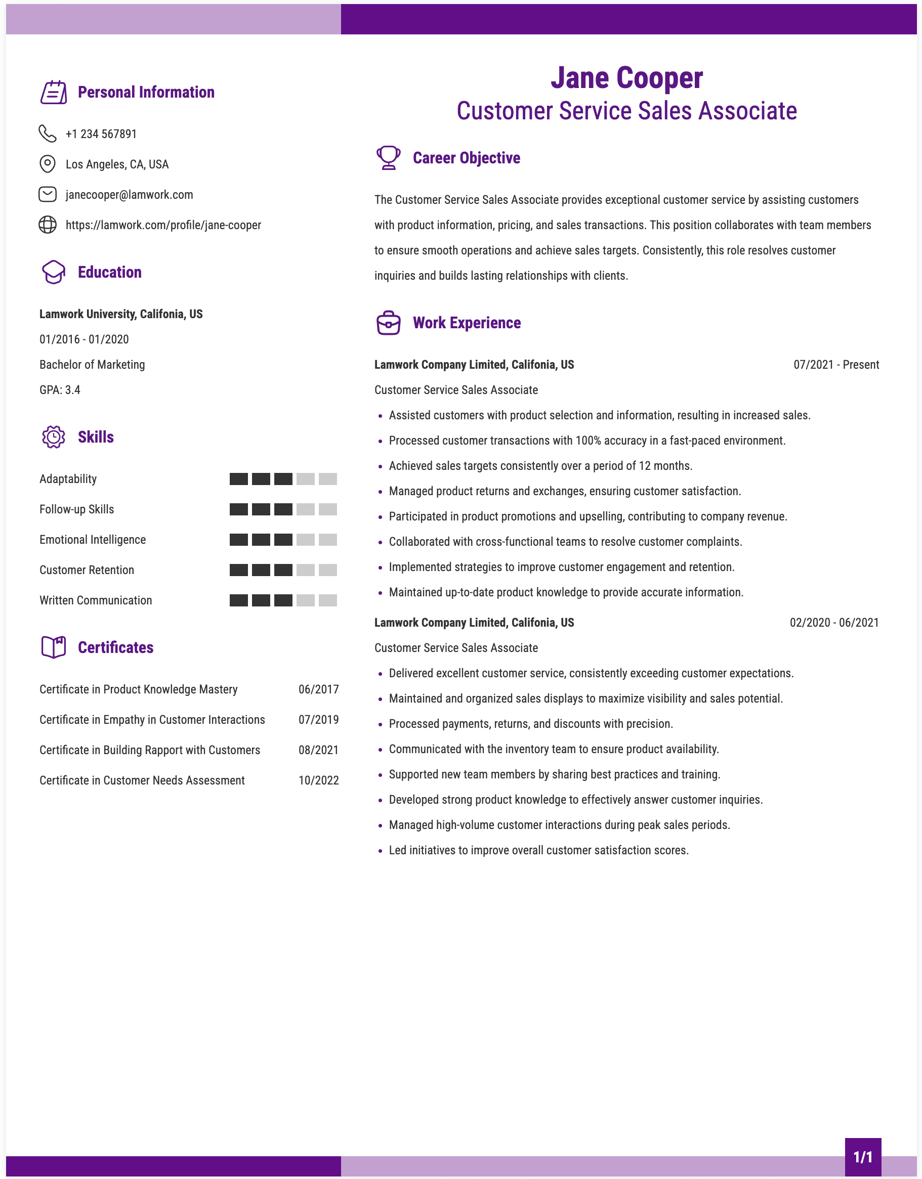 Customer Service Sales Associate Resume Example