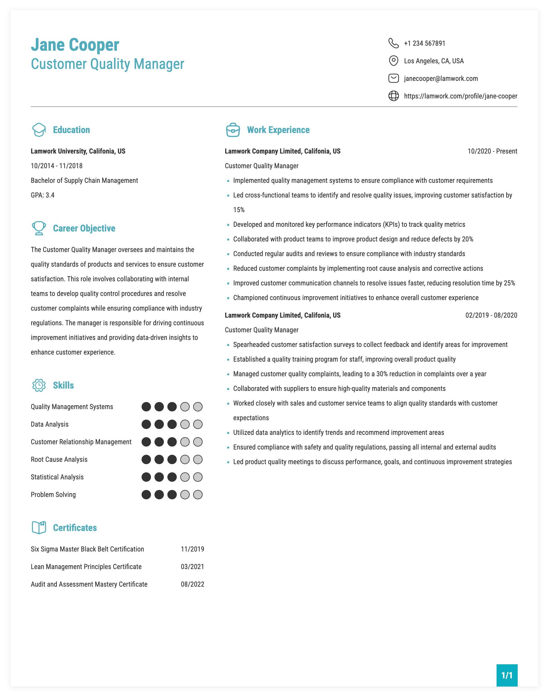 Customer Quality Manager Resume Example