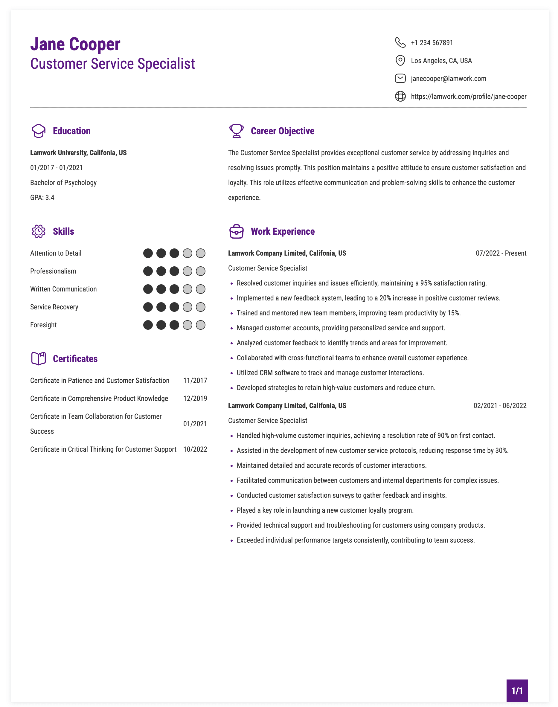 Customer Service Specialist Resume Example