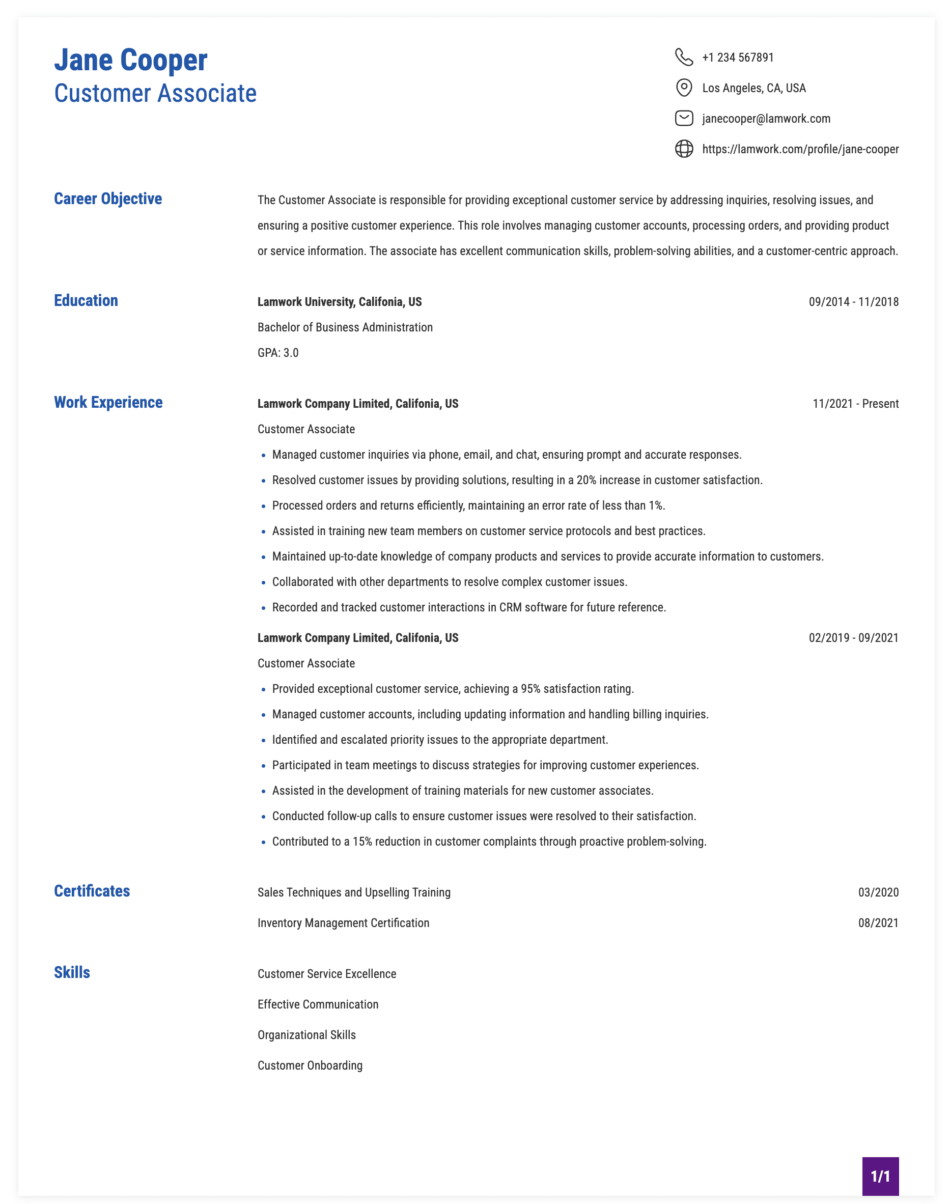 Customer Associate Resume Example