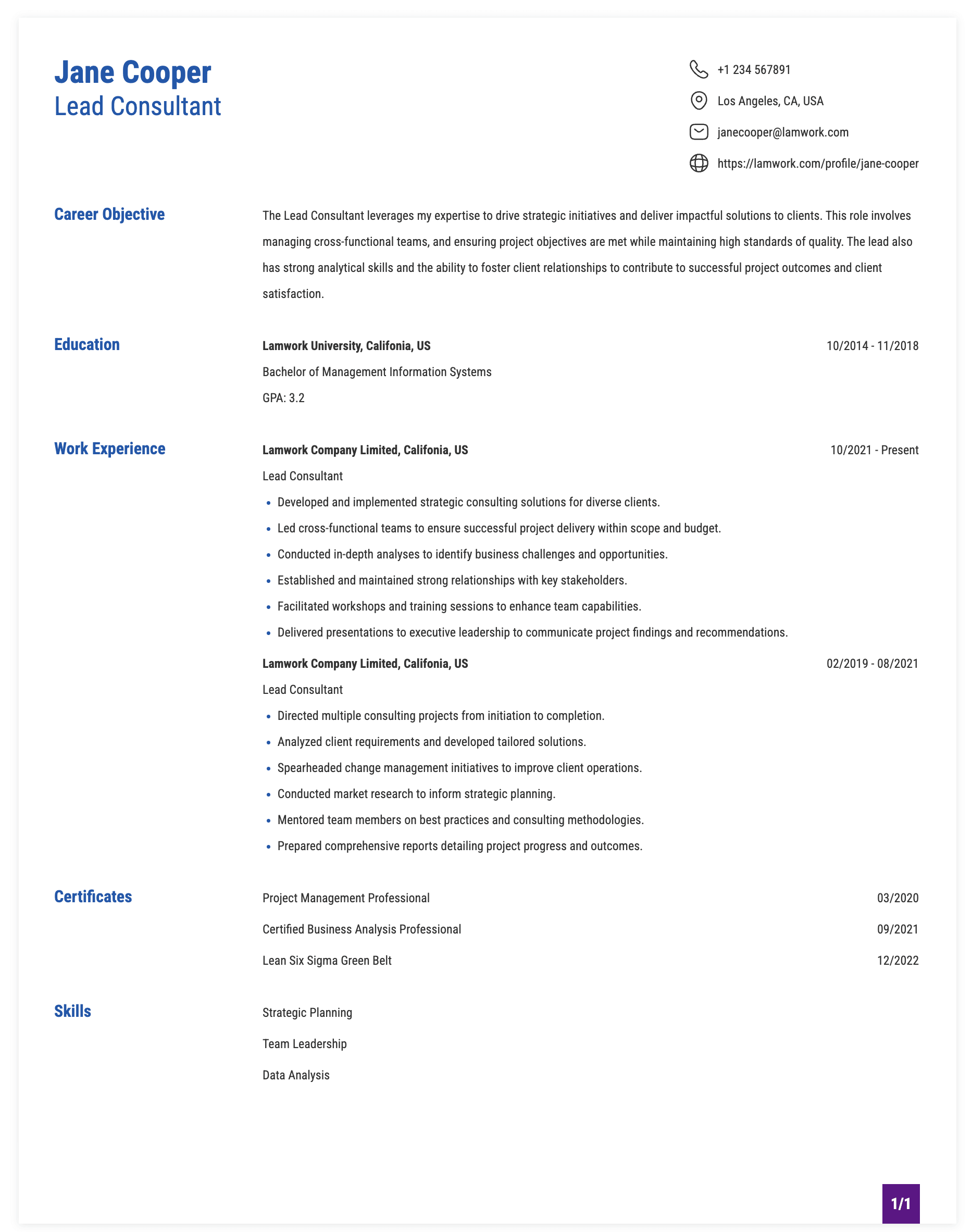 Lead Consultant Resume Example