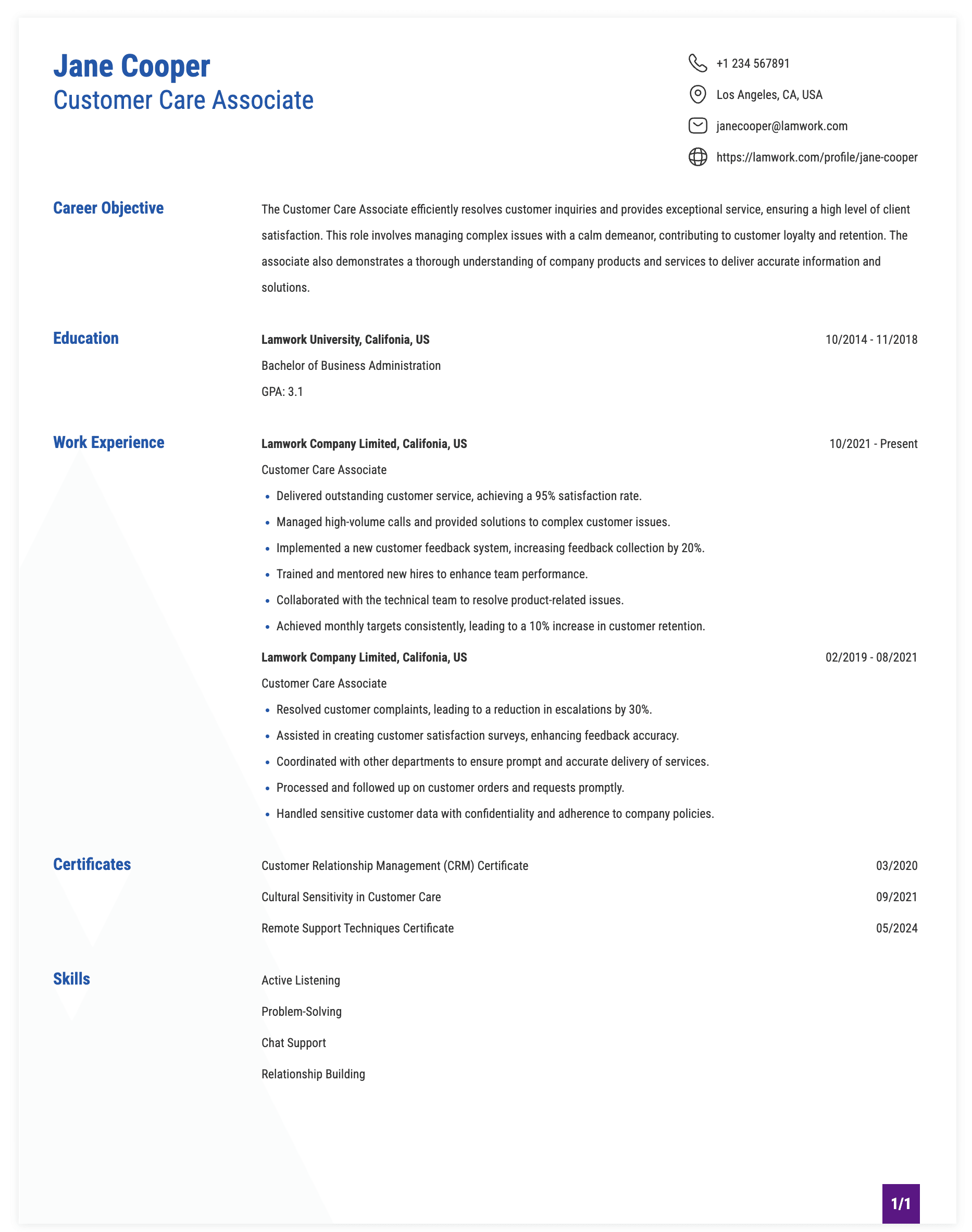 Customer Care Associate Resume Example