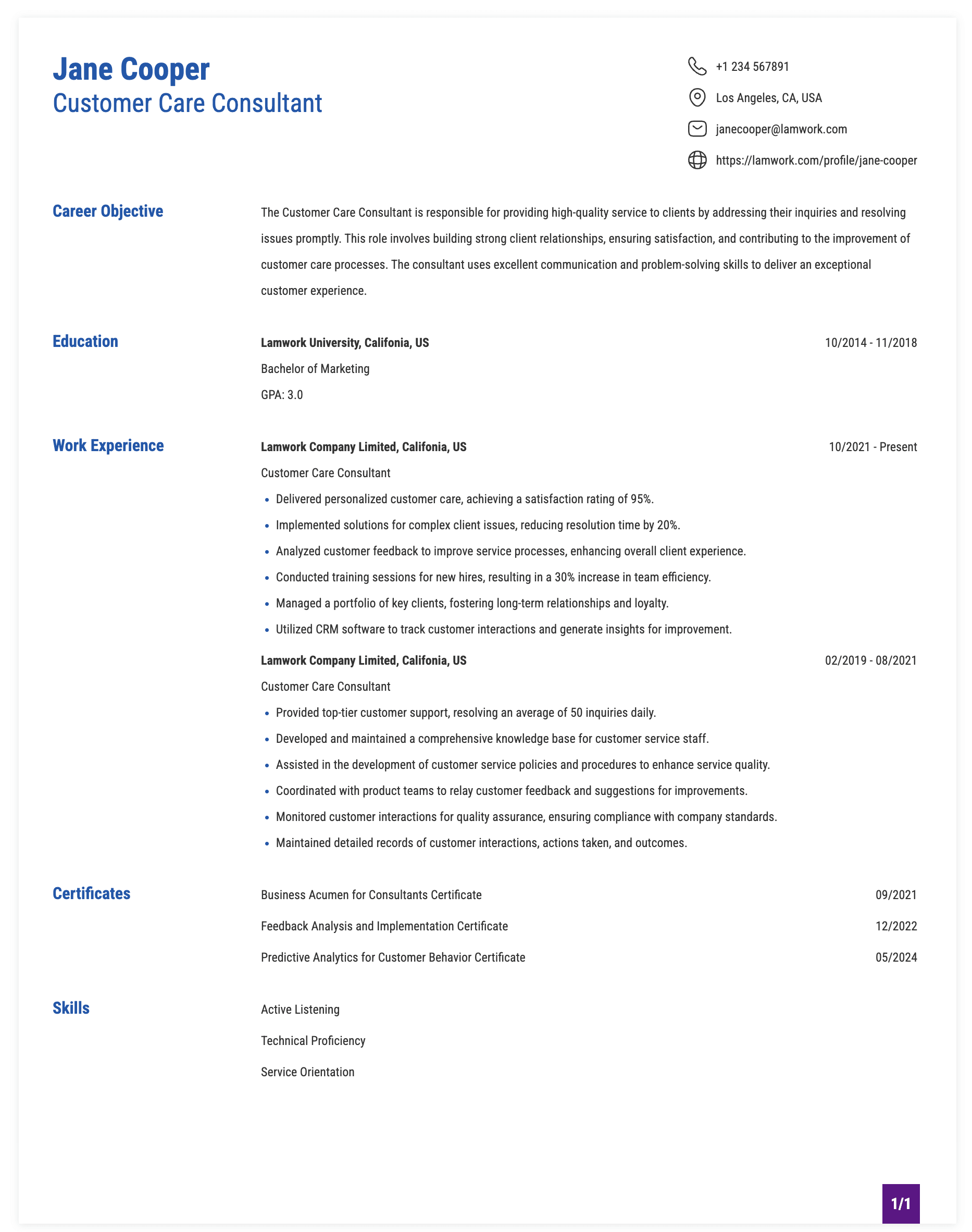 Customer Care Consultant Resume Example