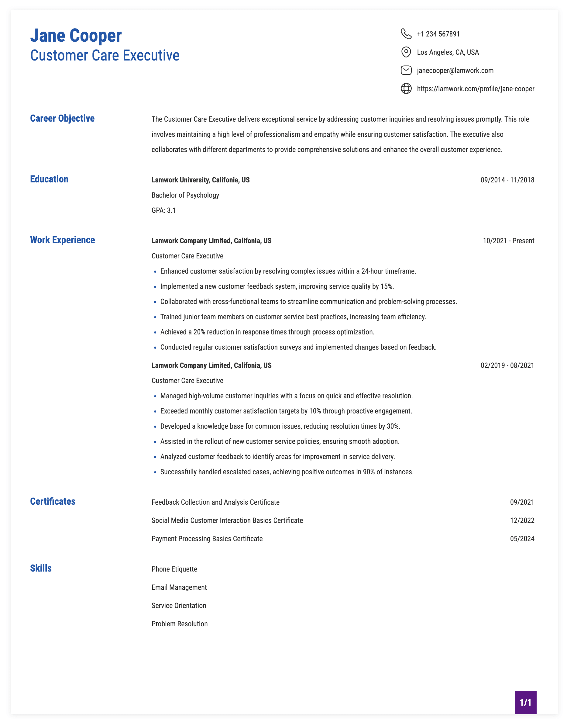 Customer Care Executive Resume Example