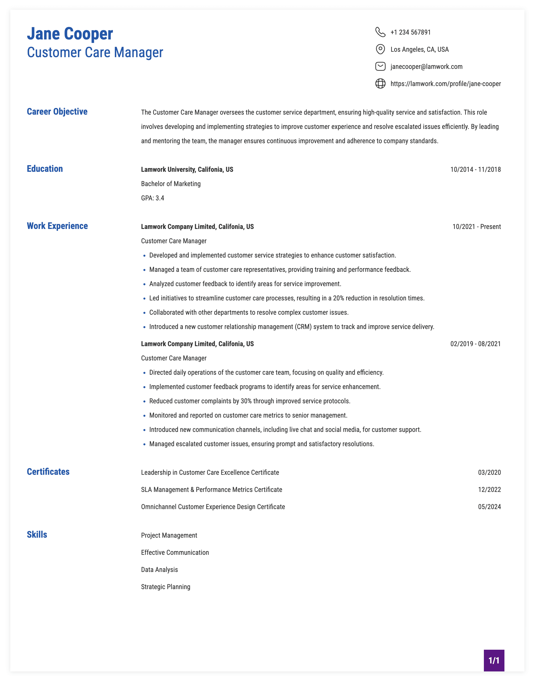 Customer Care Manager Resume Example
