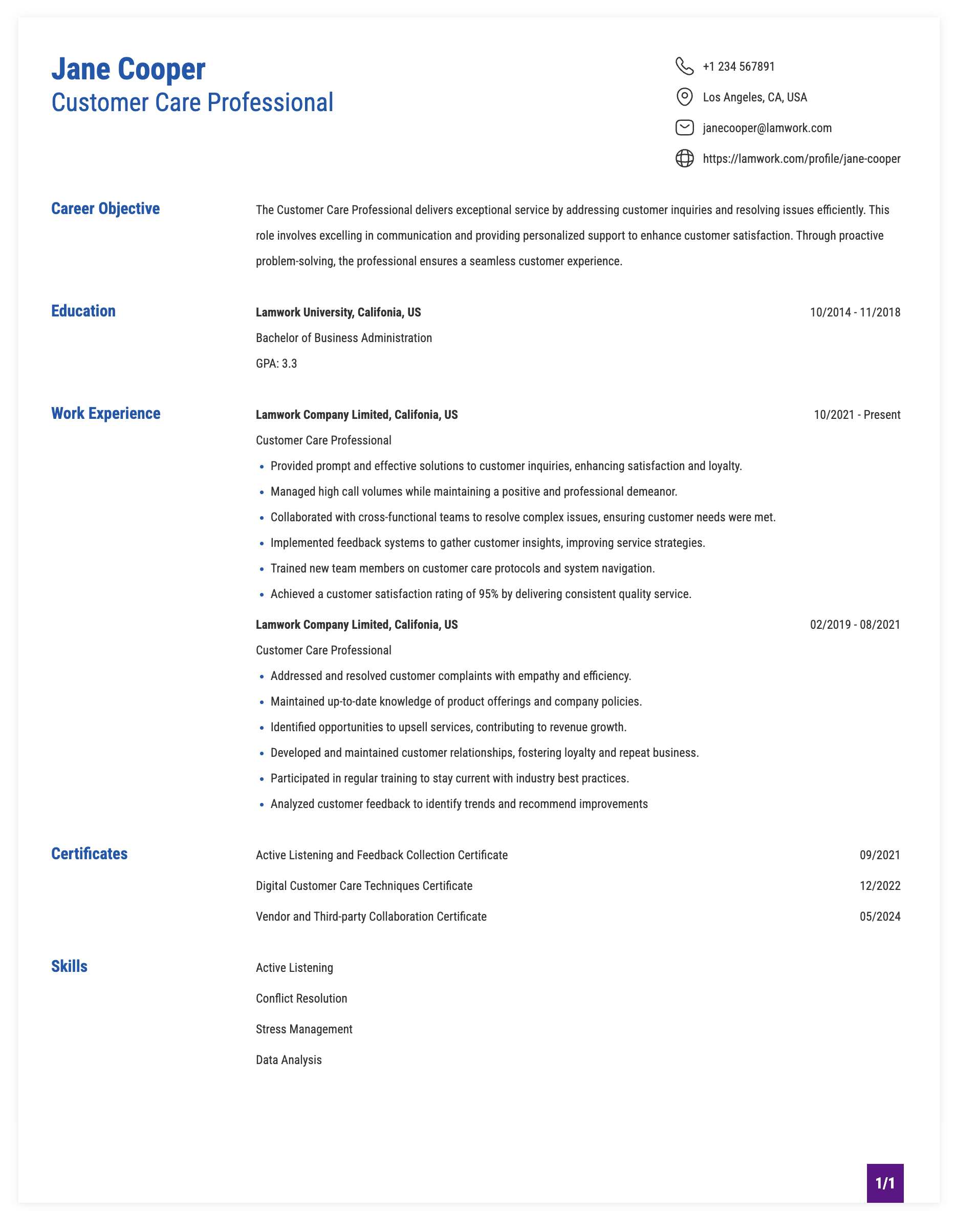 Customer Care Professional Resume Example