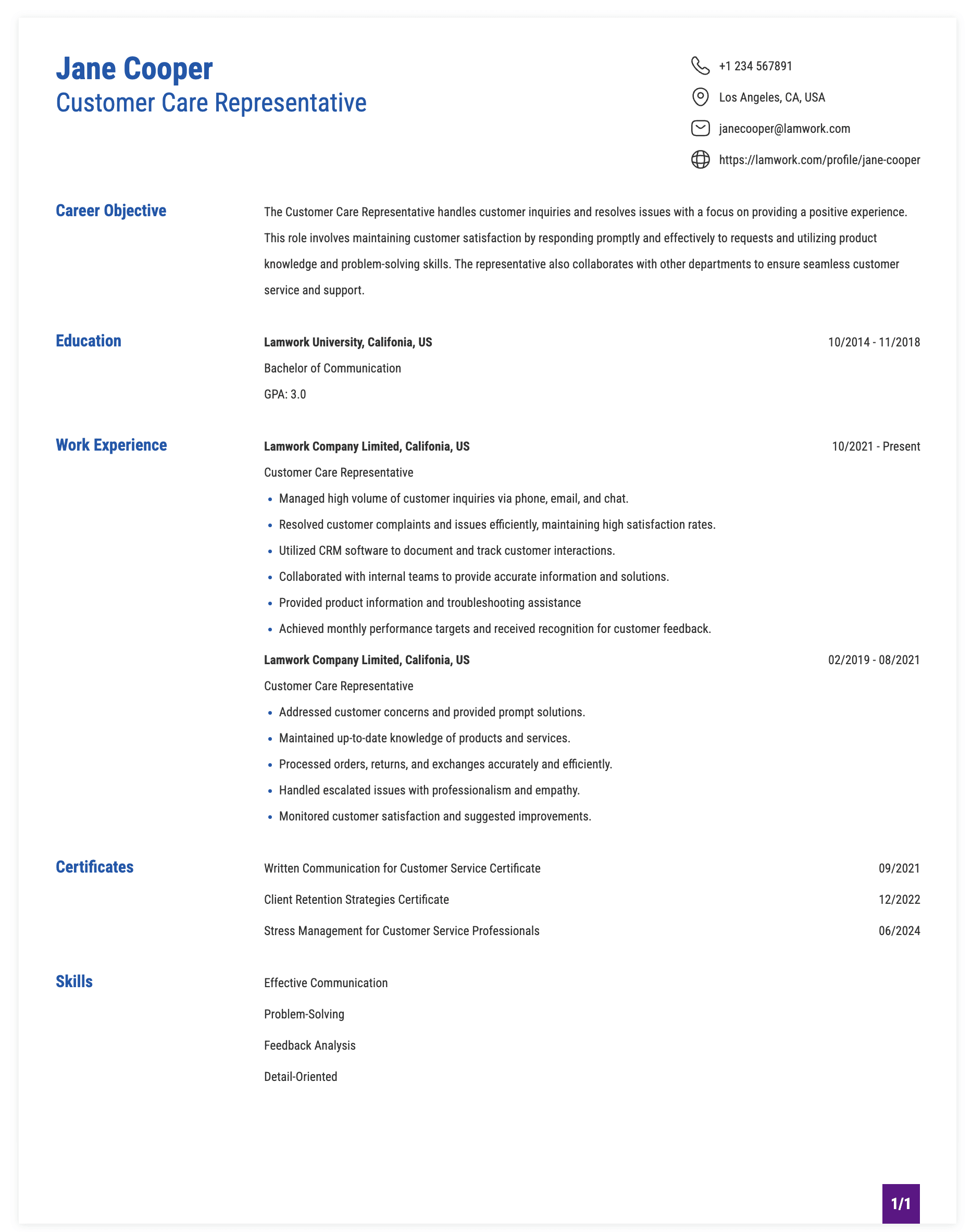 Customer Care Representative Resume Example