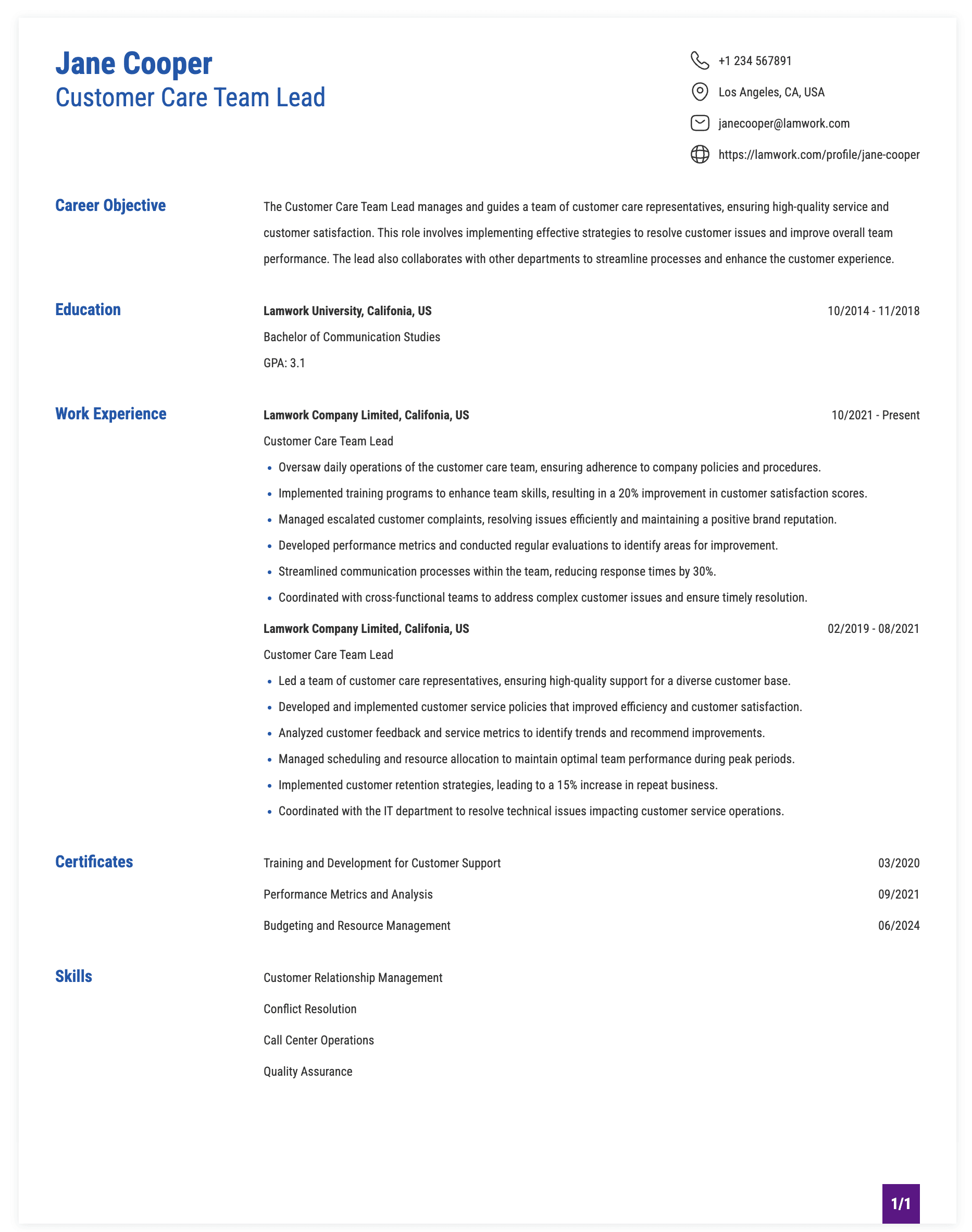 Customer Care Team Lead Resume Example