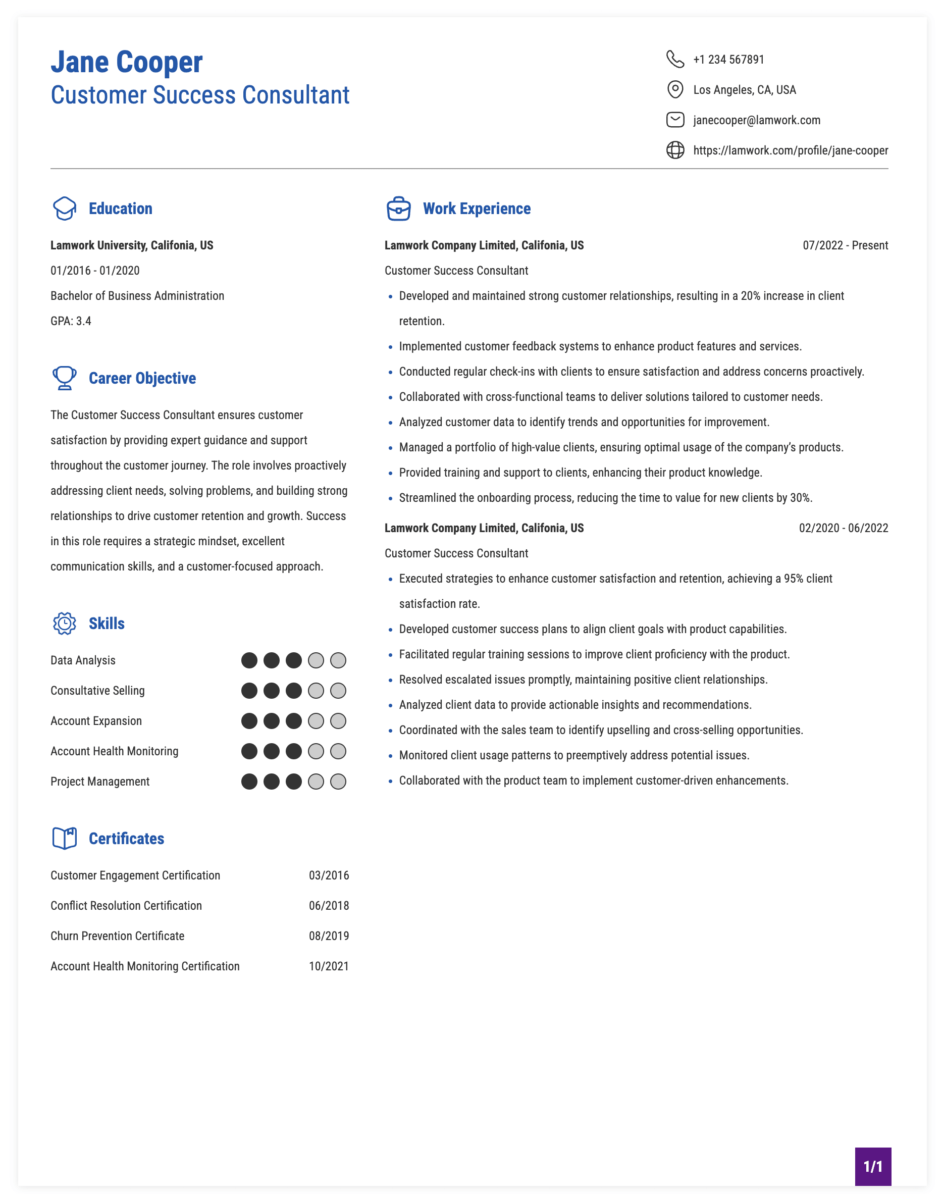 Customer Success Consultant Resume Example