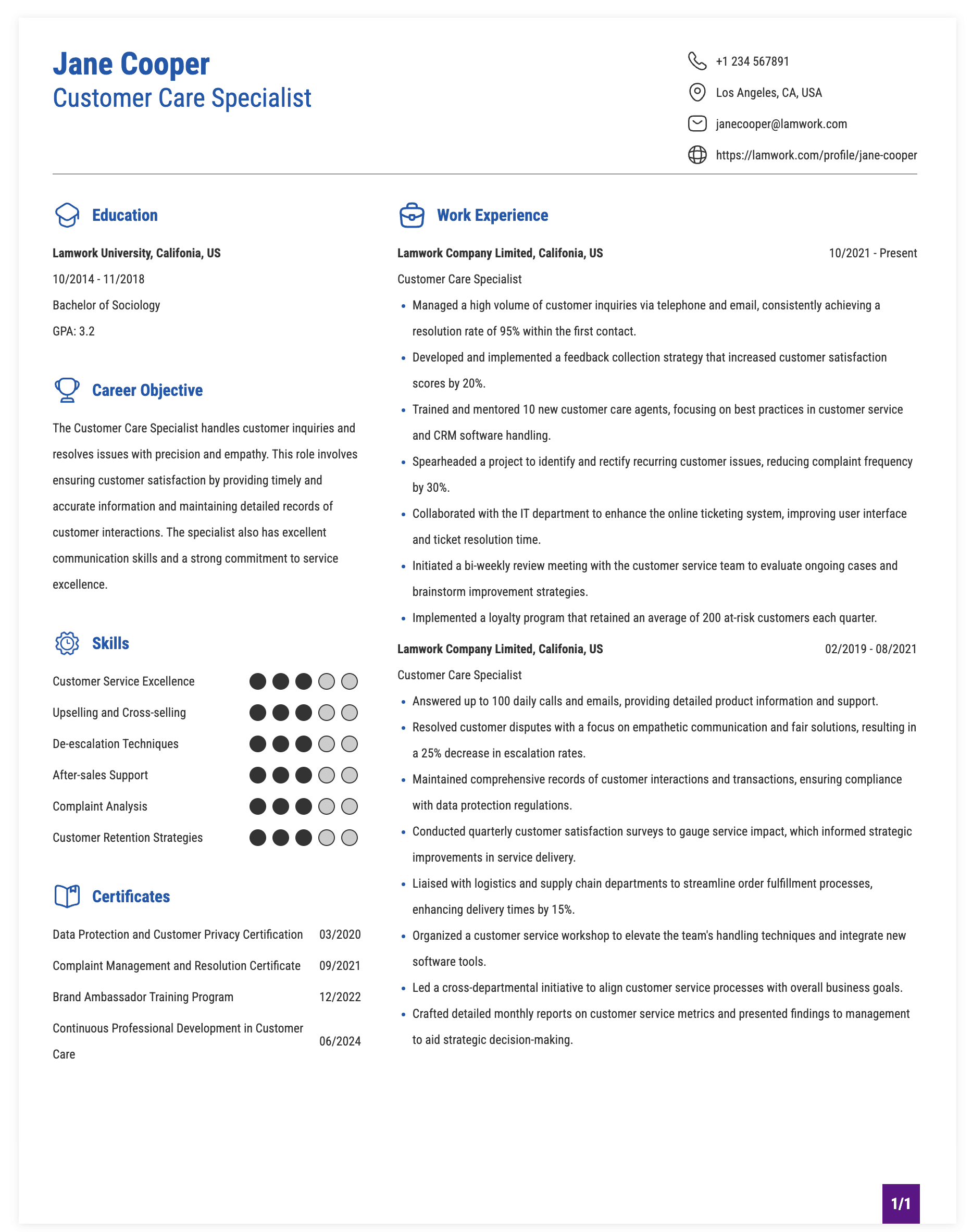 Customer Care Specialist Resume Example