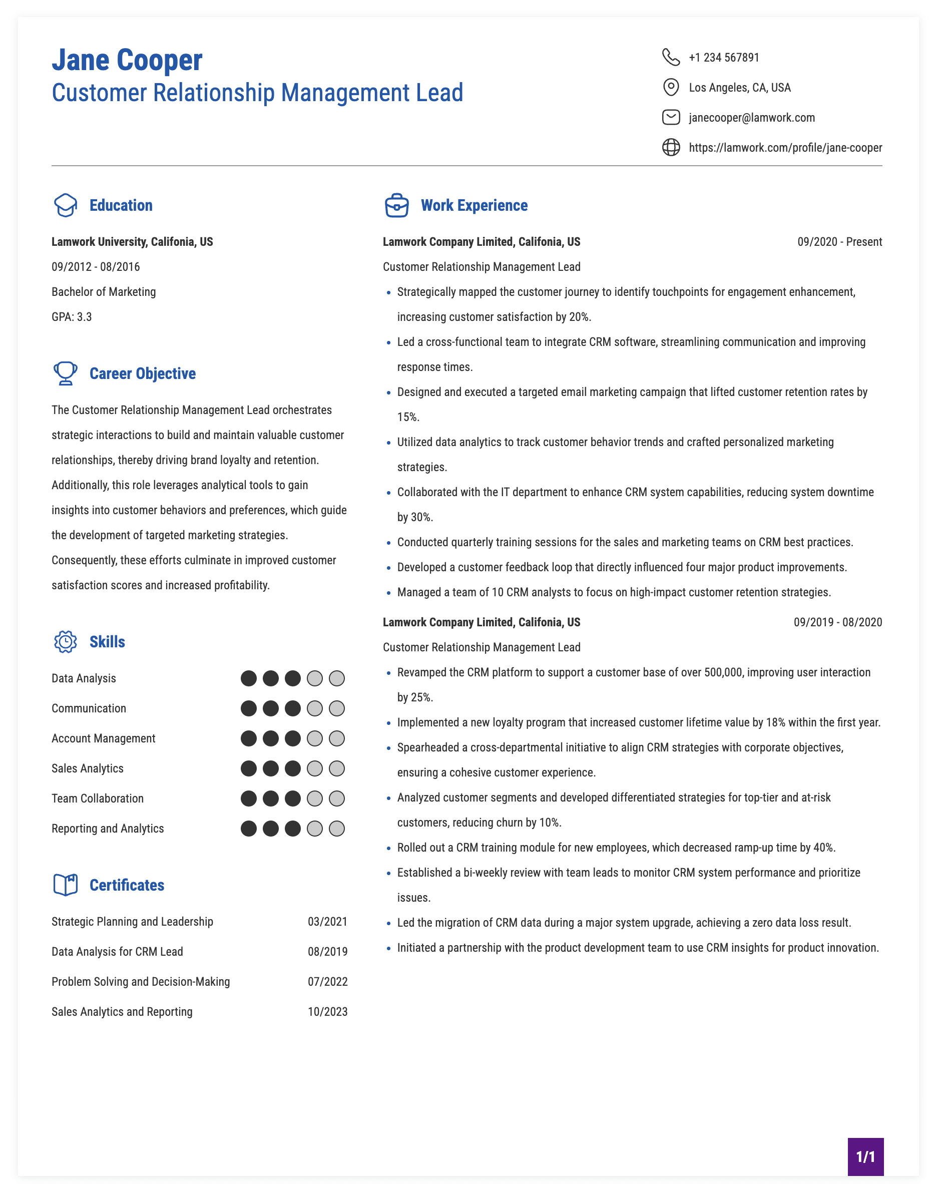 Customer Relationship Management Lead Resume Example