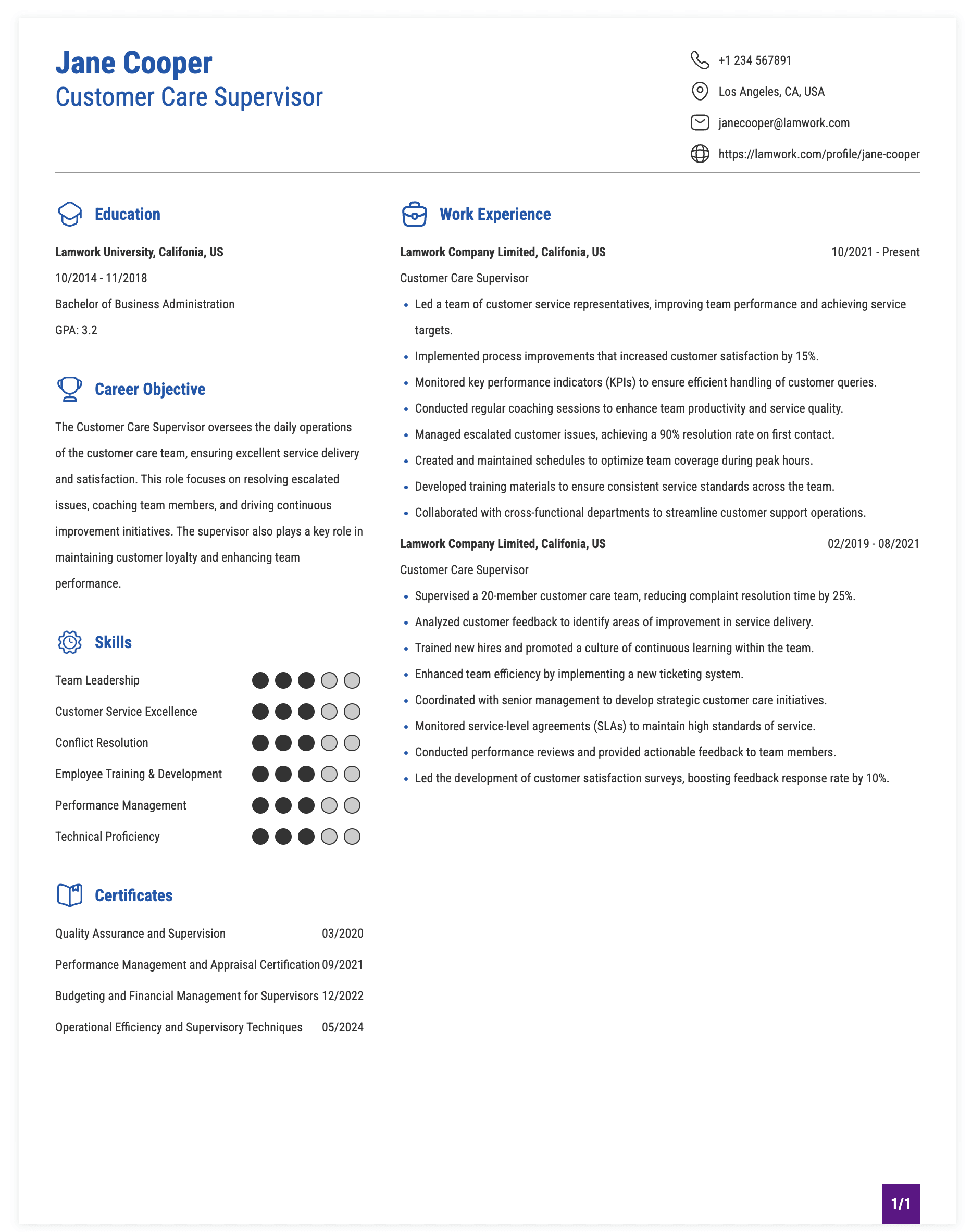 Customer Care Supervisor Resume Example