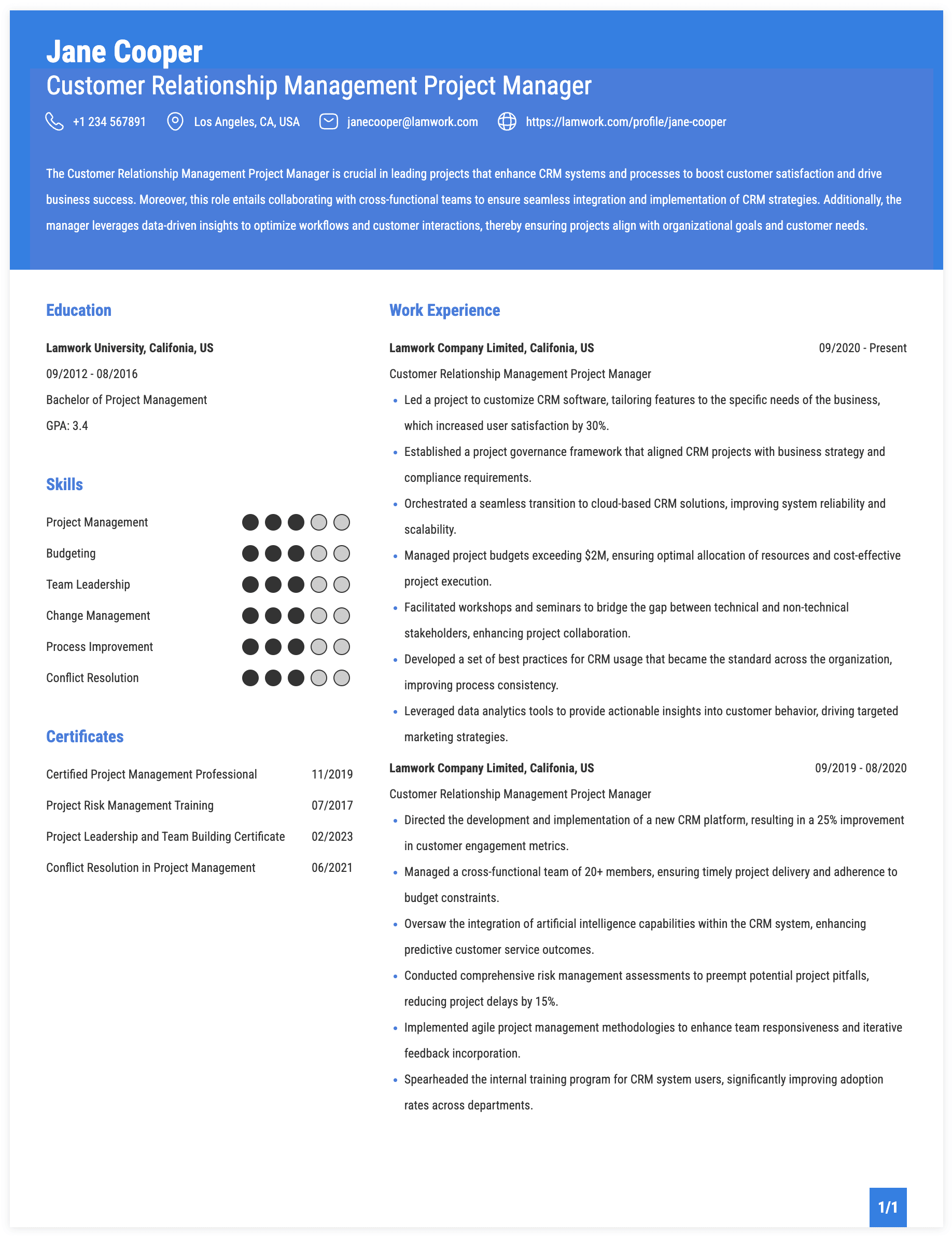 Customer Relationship Management Project Manager Resume Example