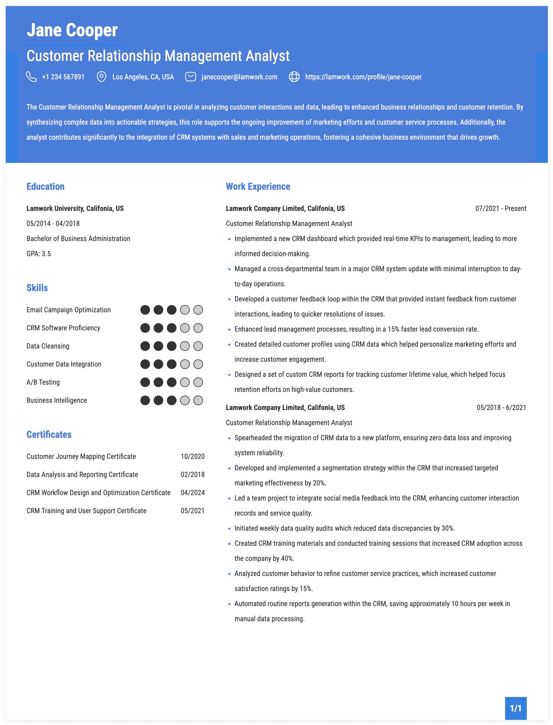 Customer Relationship Management Analyst Resume Example