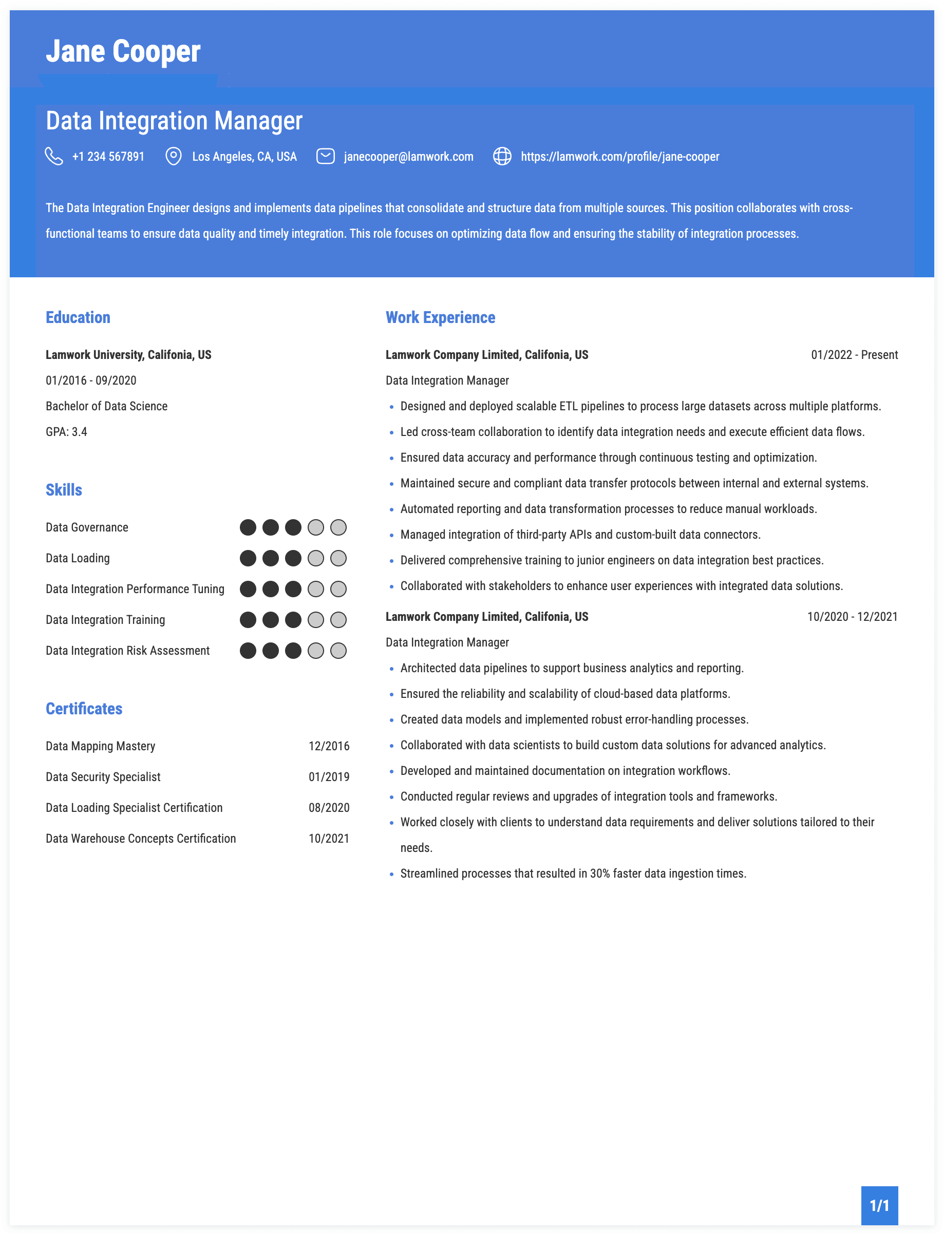 Data Integration Manager Resume Example