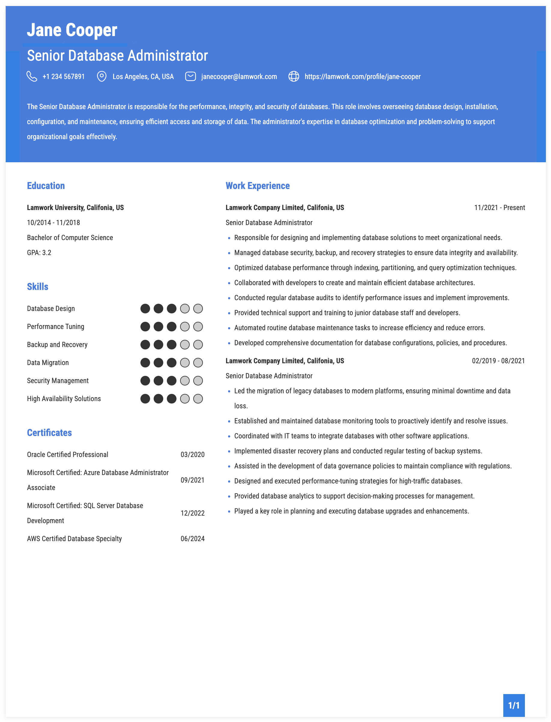 Senior Database Administrator Resume Example