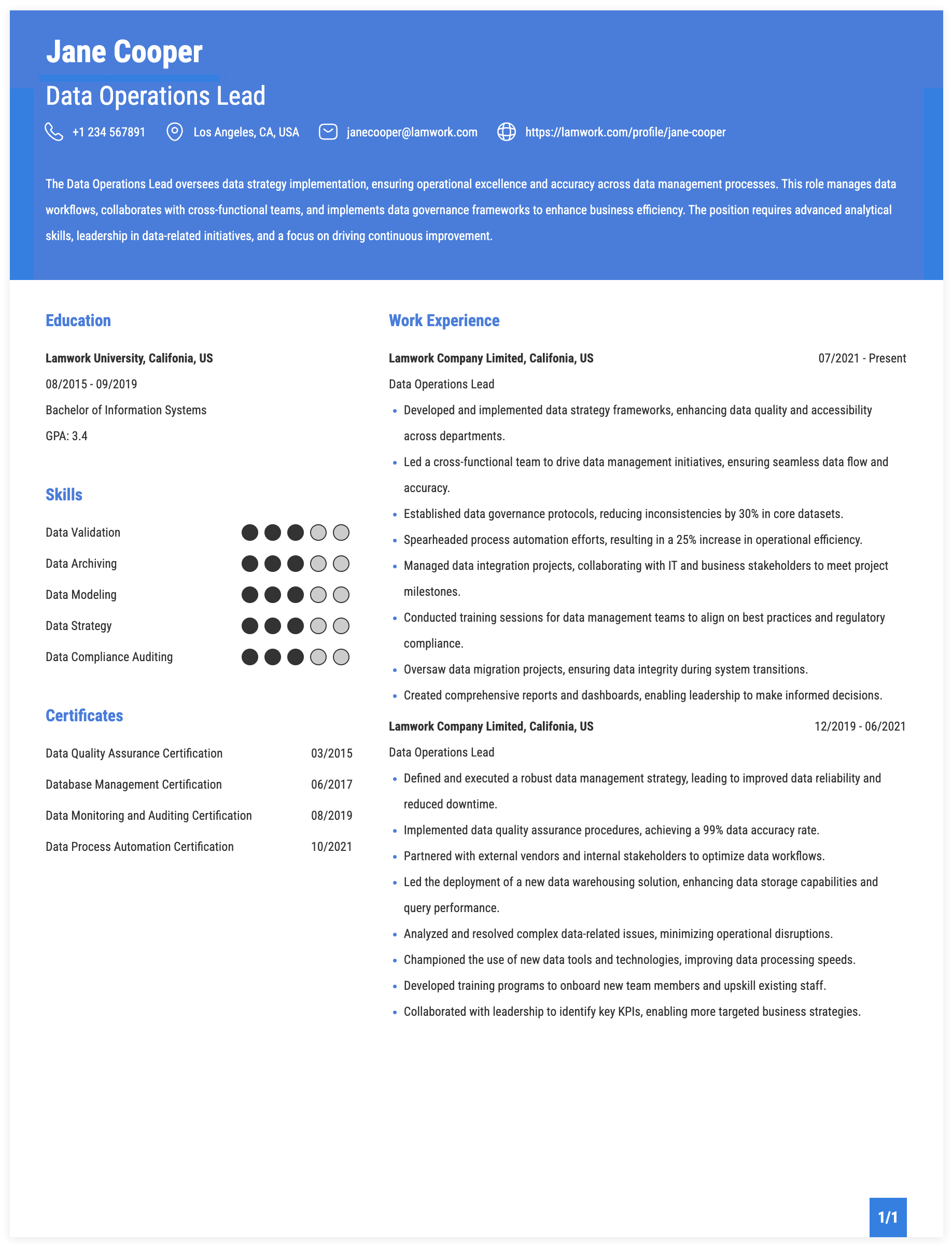 Data Operations Lead Resume Example