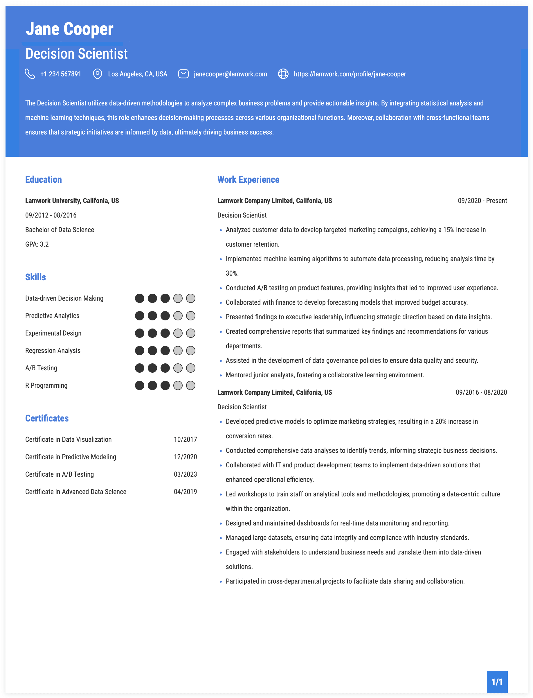 Decision Scientist Resume Example