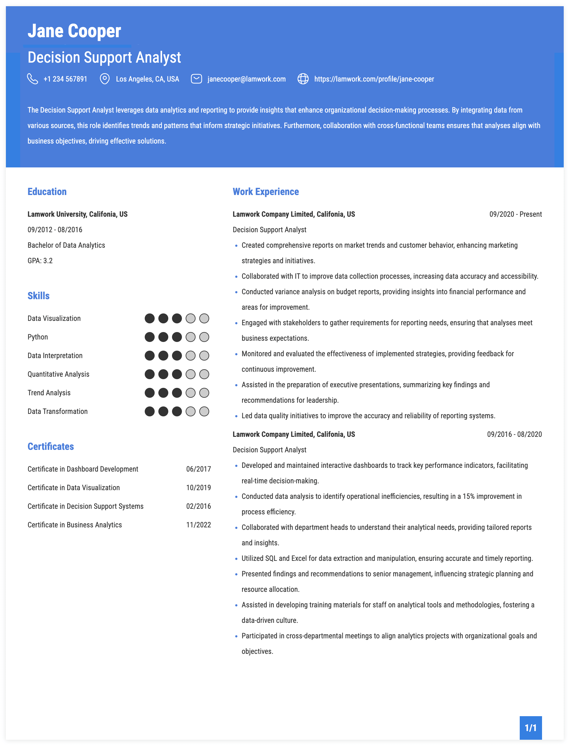 Decision Support Analyst Resume Example
