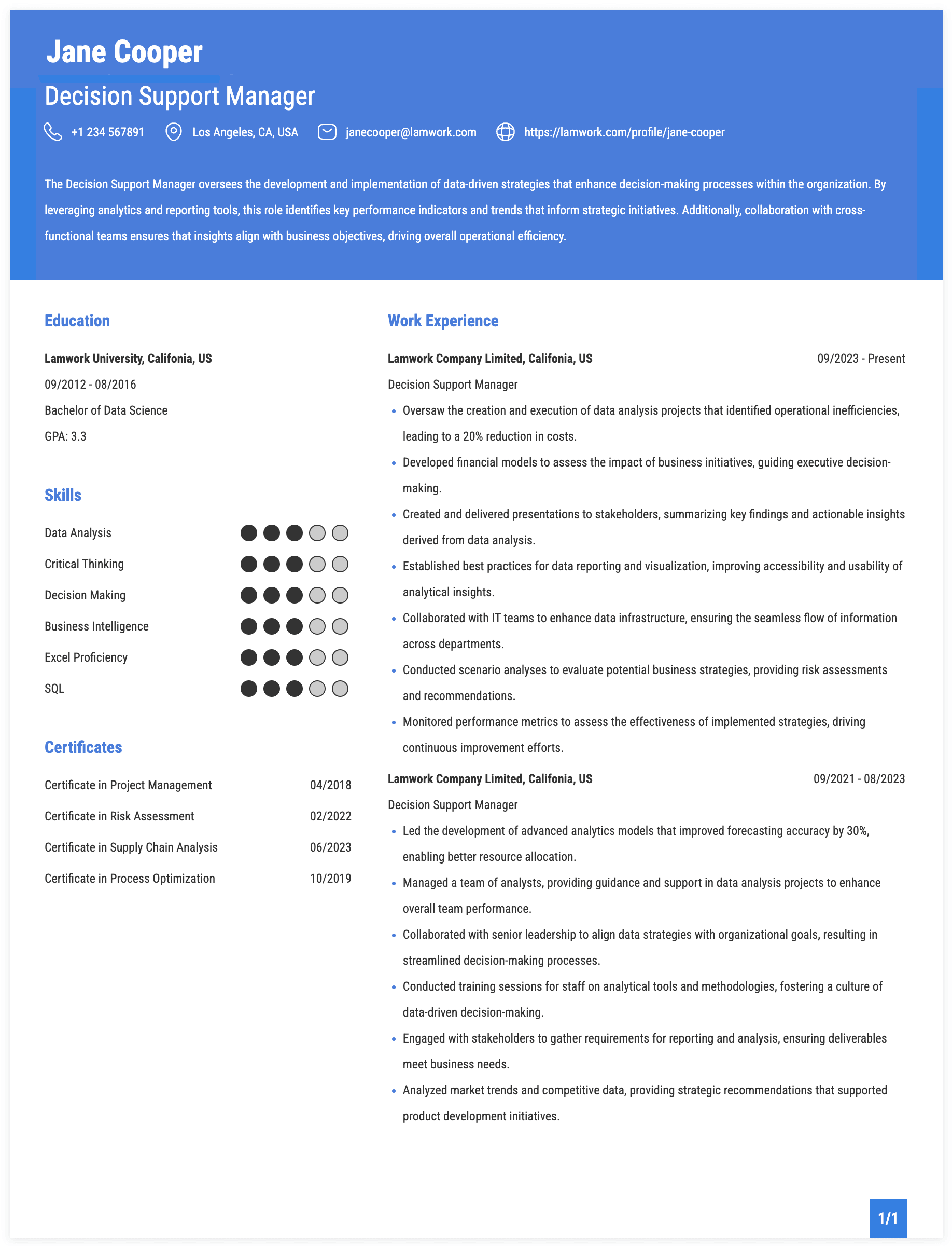 Decision Support Manager Resume Example