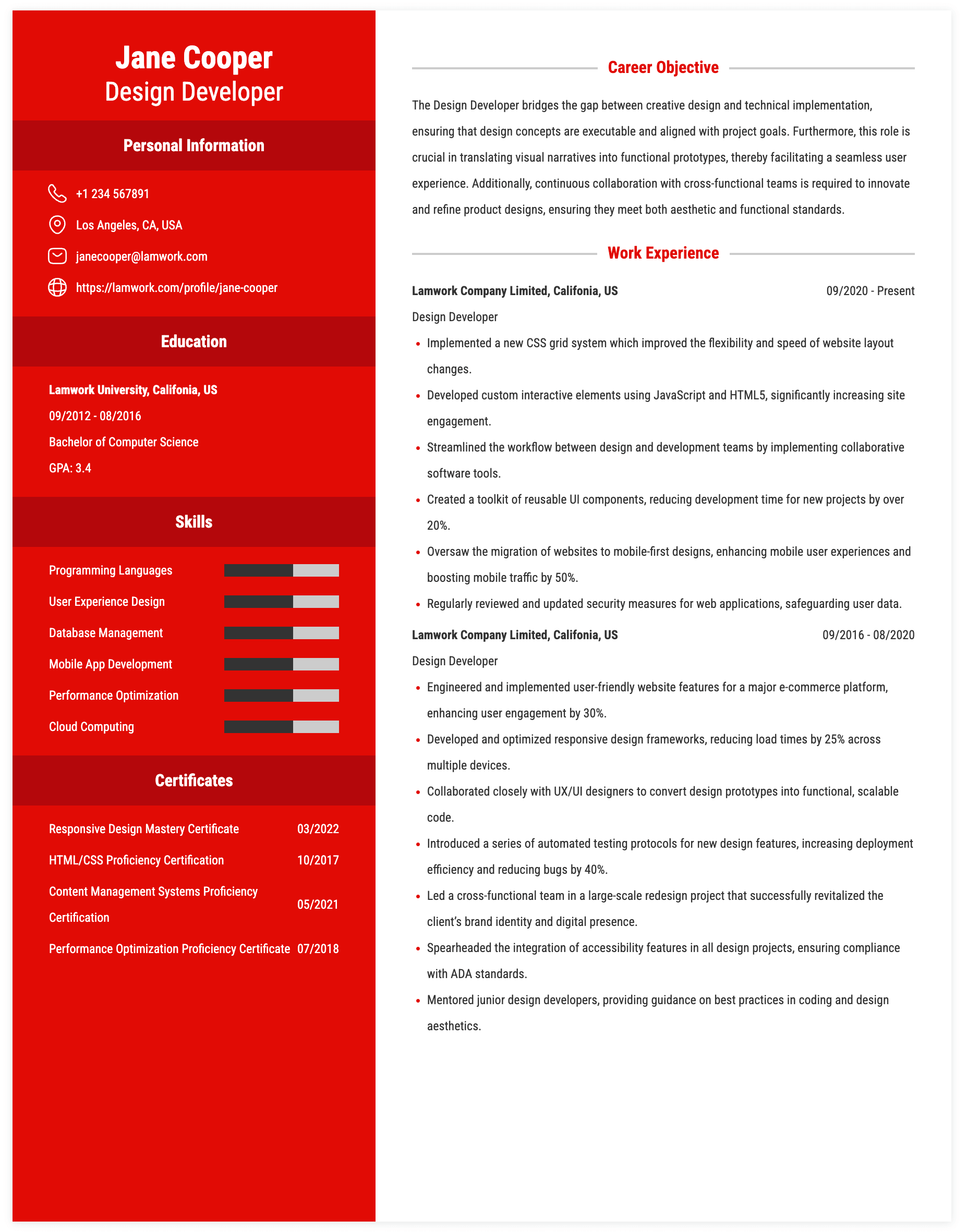 Design Developer Resume Example