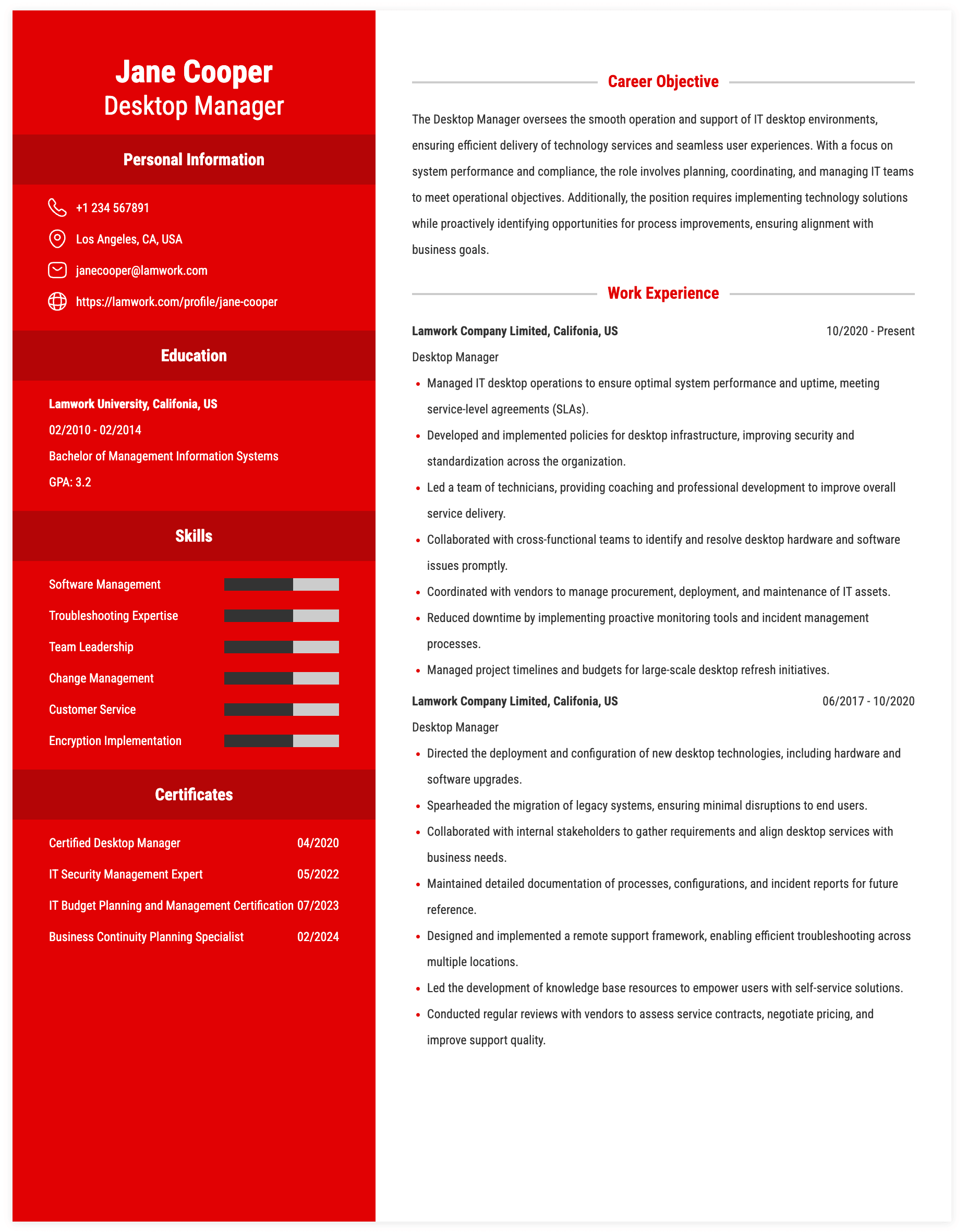 Desktop Manager Resume Example