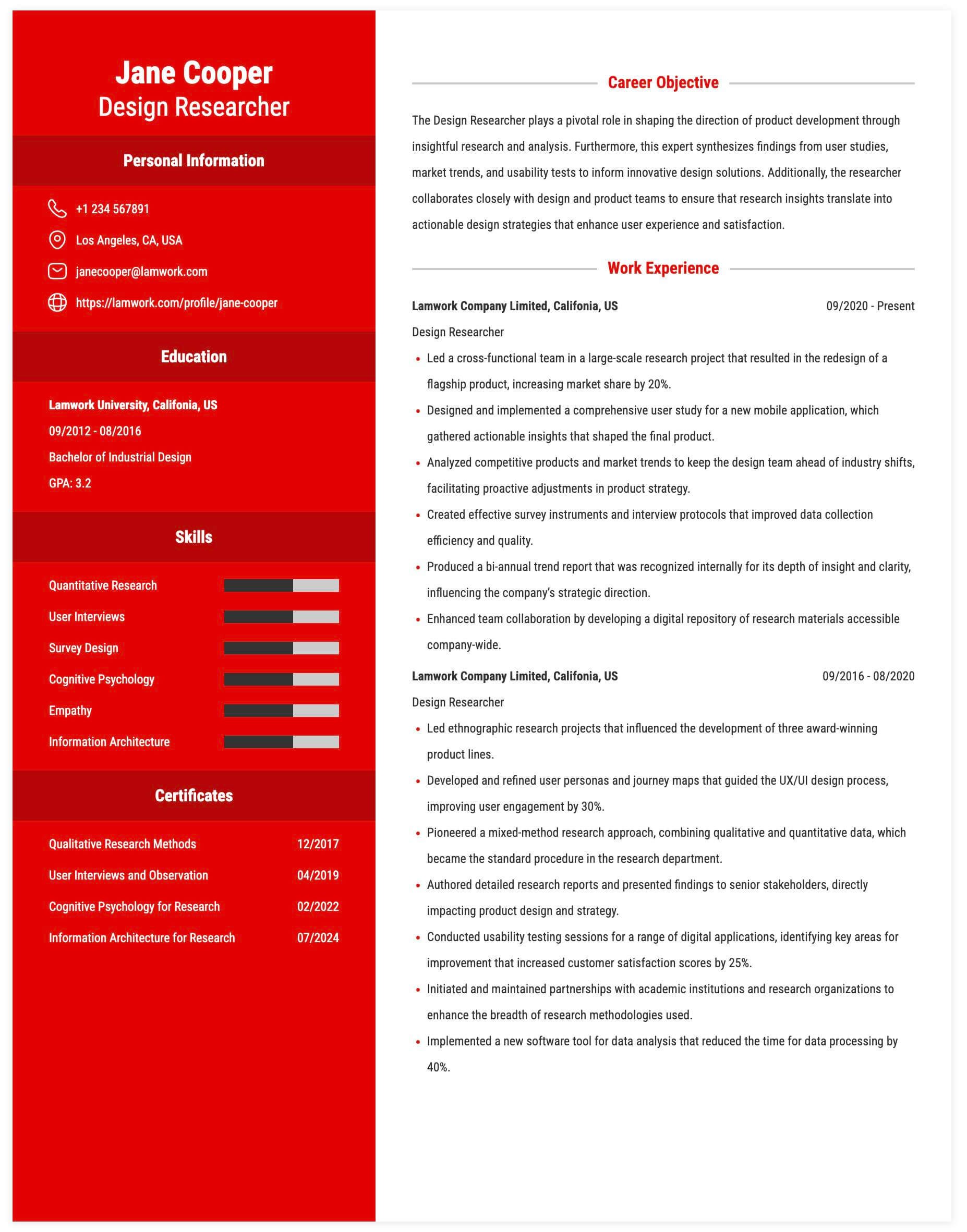 Design Researcher Resume Example