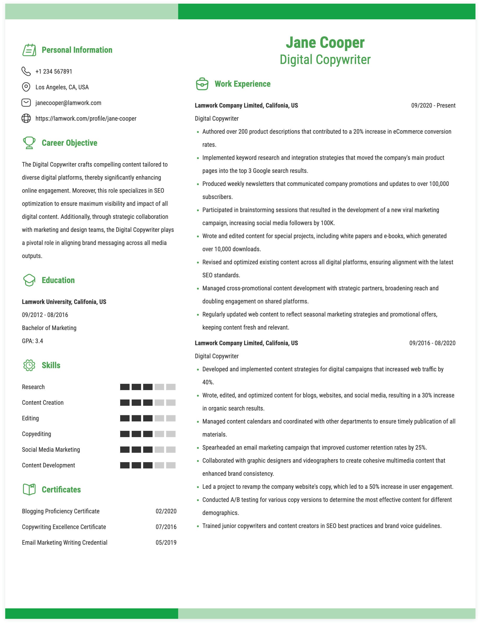 Digital Copywriter Resume Example
