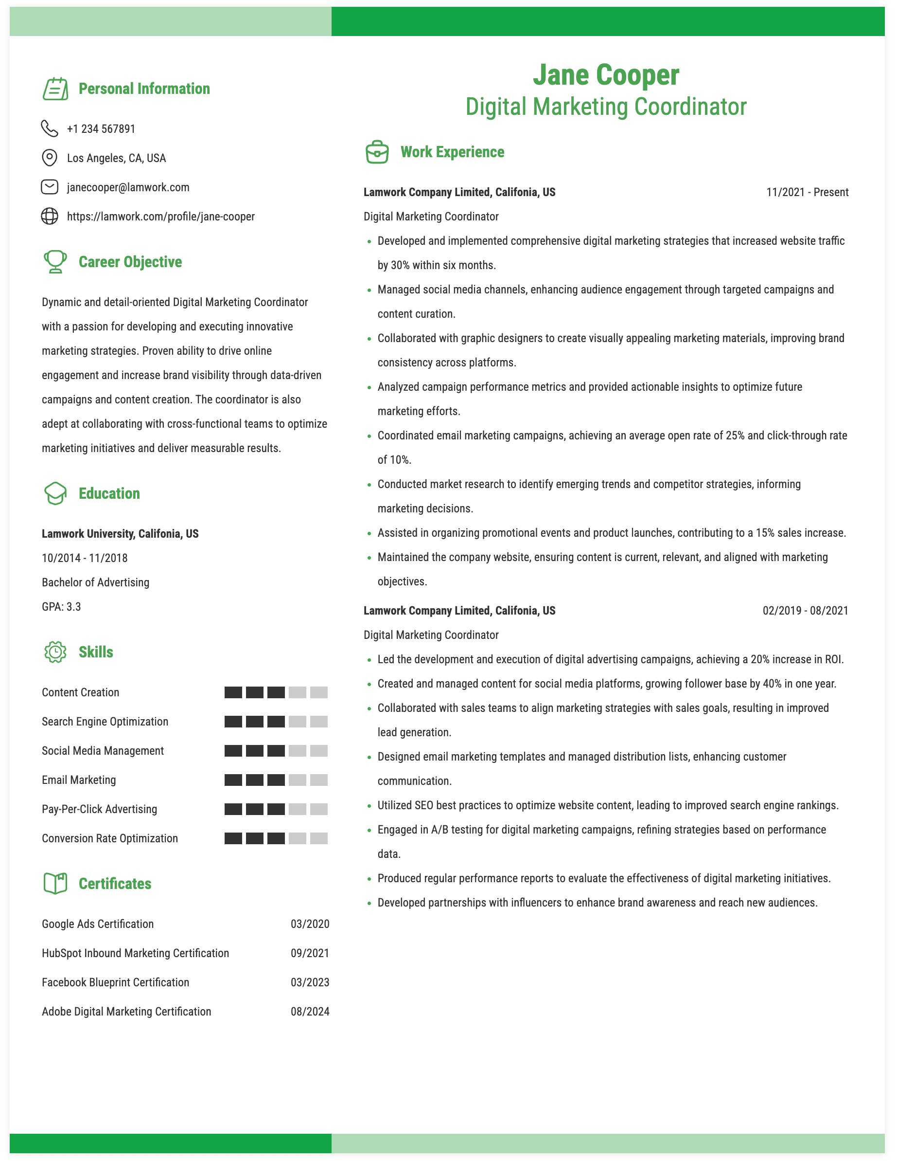 Digital Marketing Coordinator Resume Example