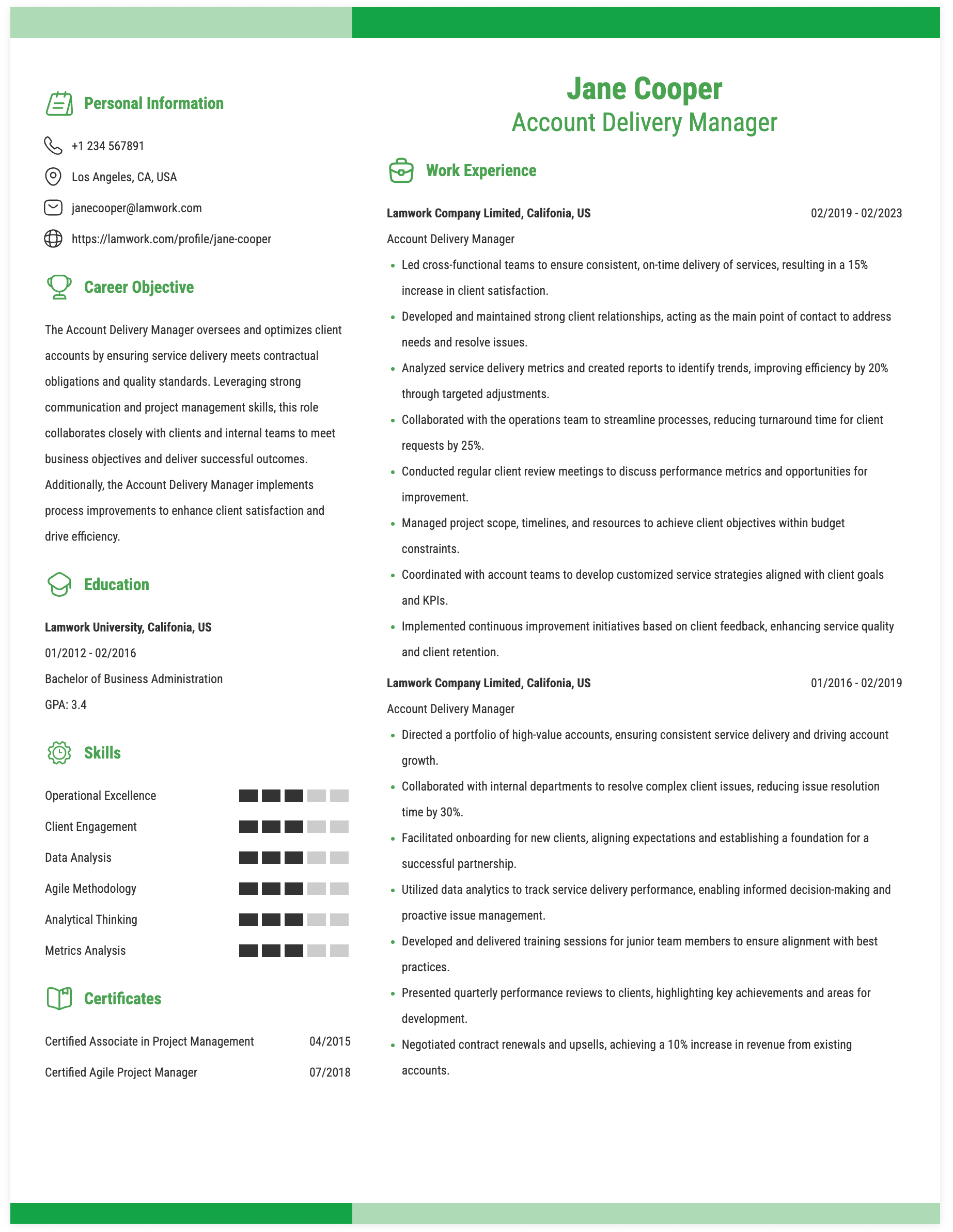 Account Delivery Manager Resume Example