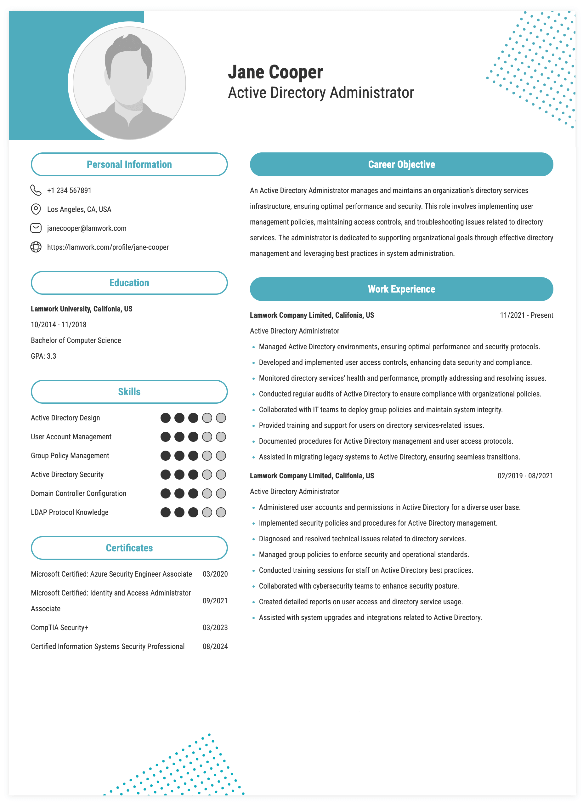 Active Directory Administrator Resume Example