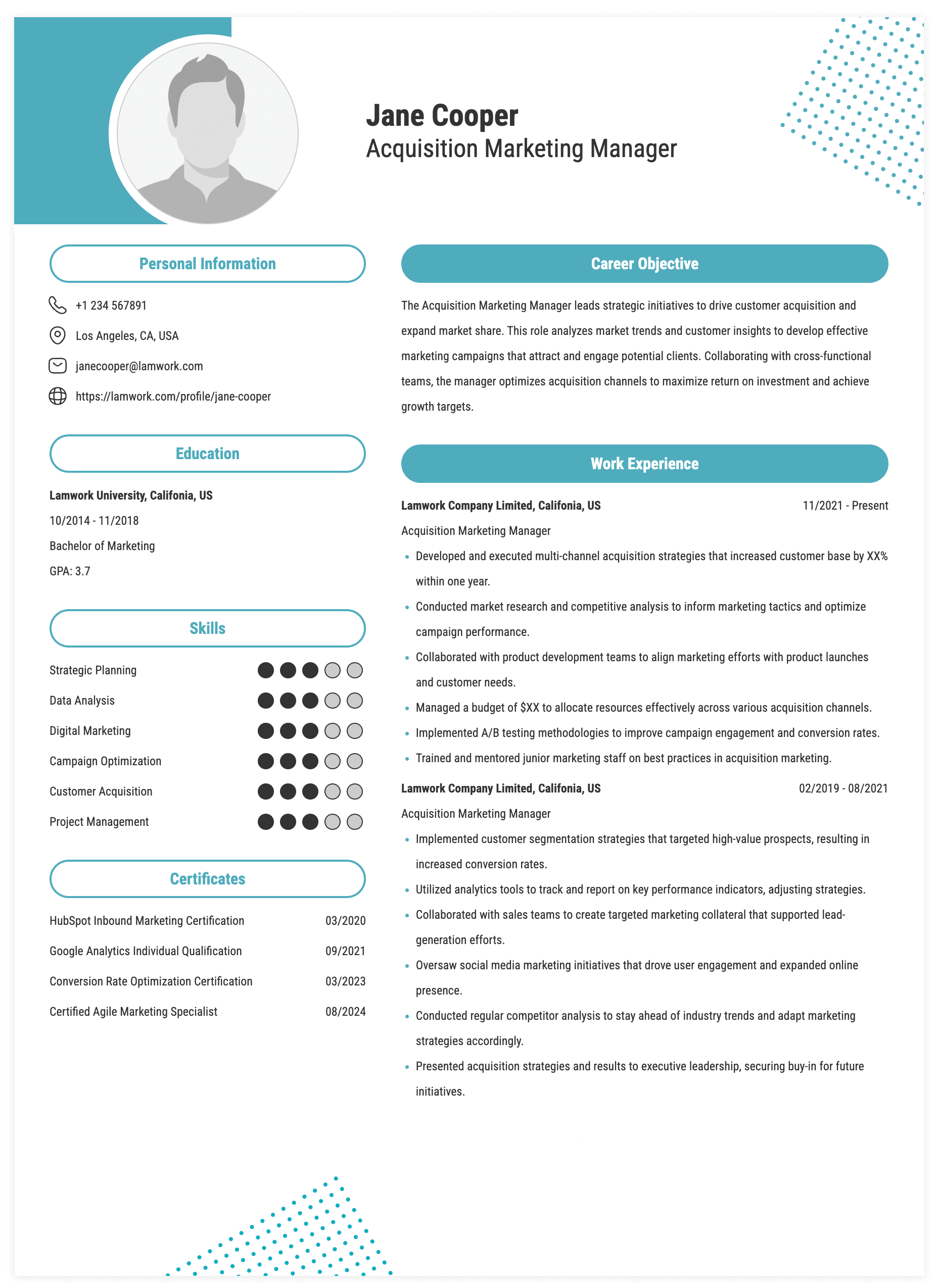 Acquisition Marketing Manager Resume Example