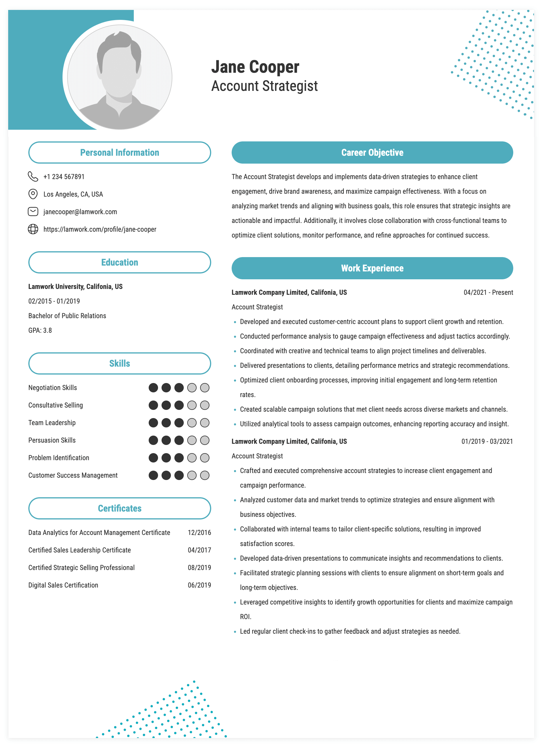 Account Strategist Resume Example