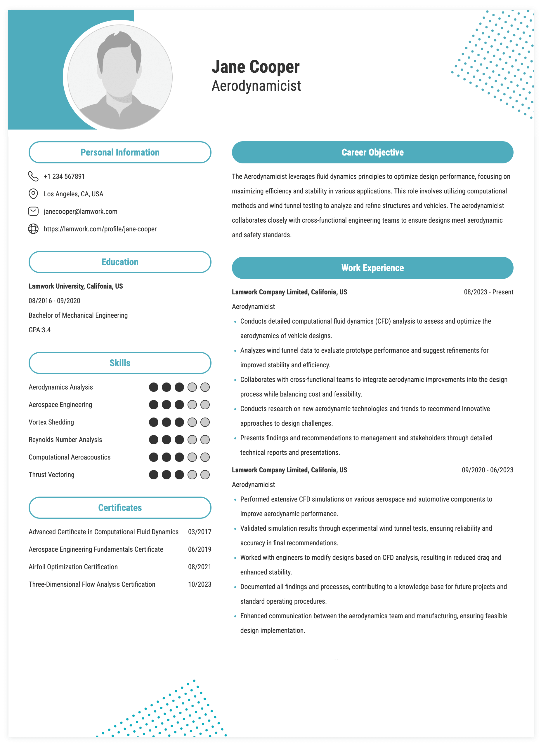 Aerodynamicist Resume Example