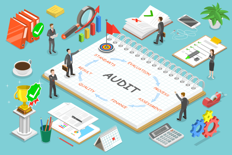 Audit Roles and Responsibilities