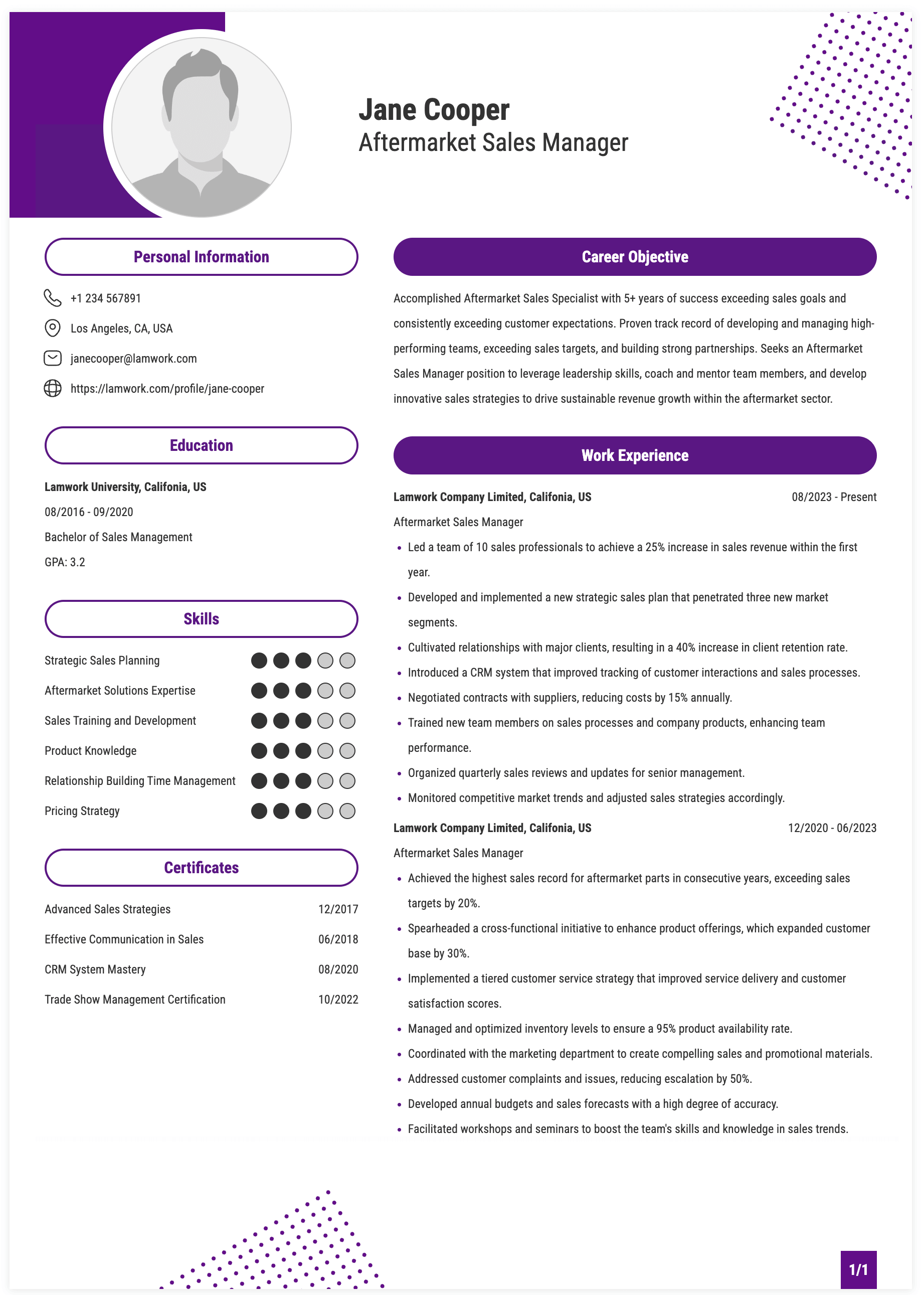 Aftermarket Sales Manager Resume Example
