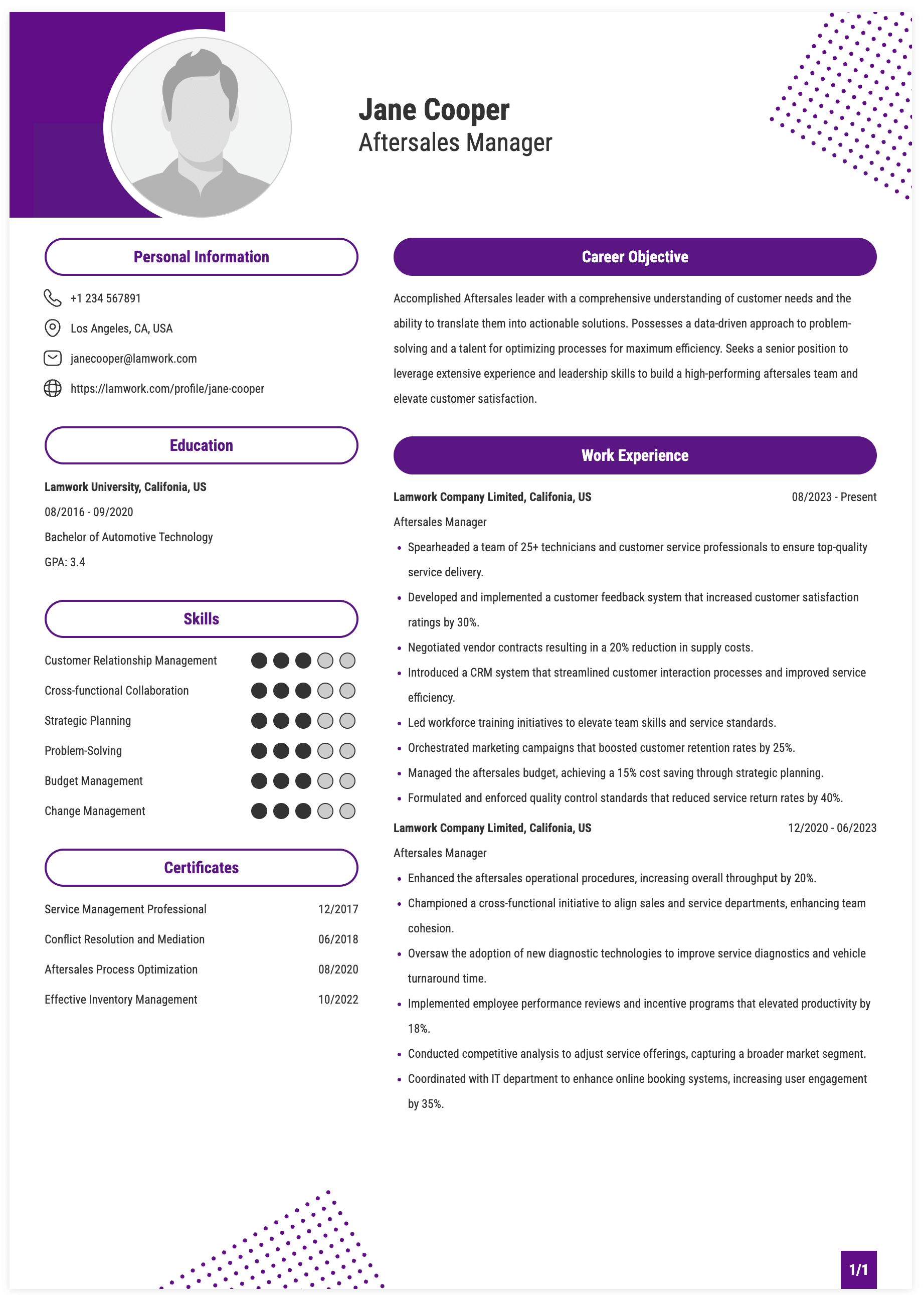 Aftersales Manager Resume Example