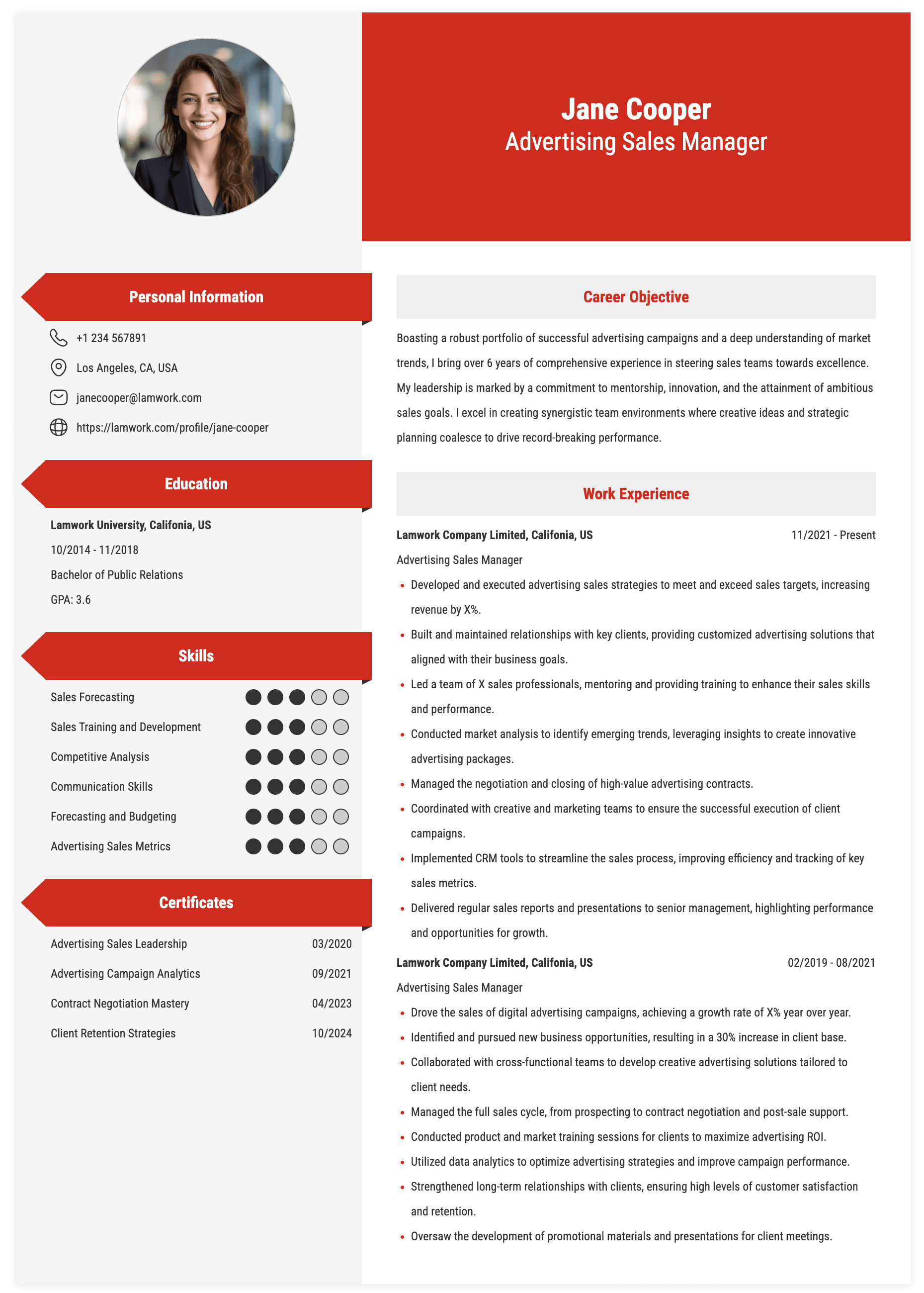 Advertising Sales Manager Resume Example