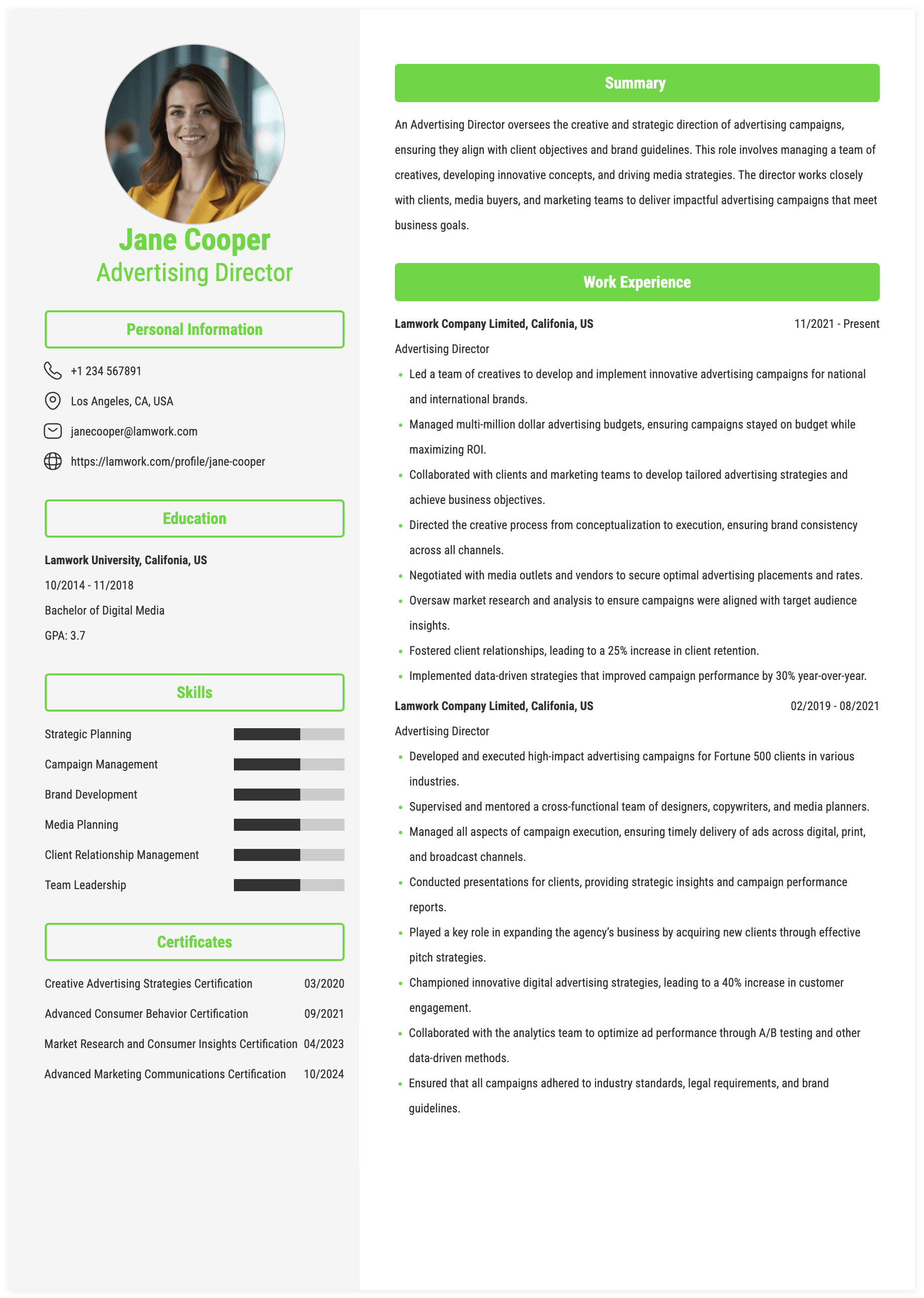 Advertising Director Resume Example