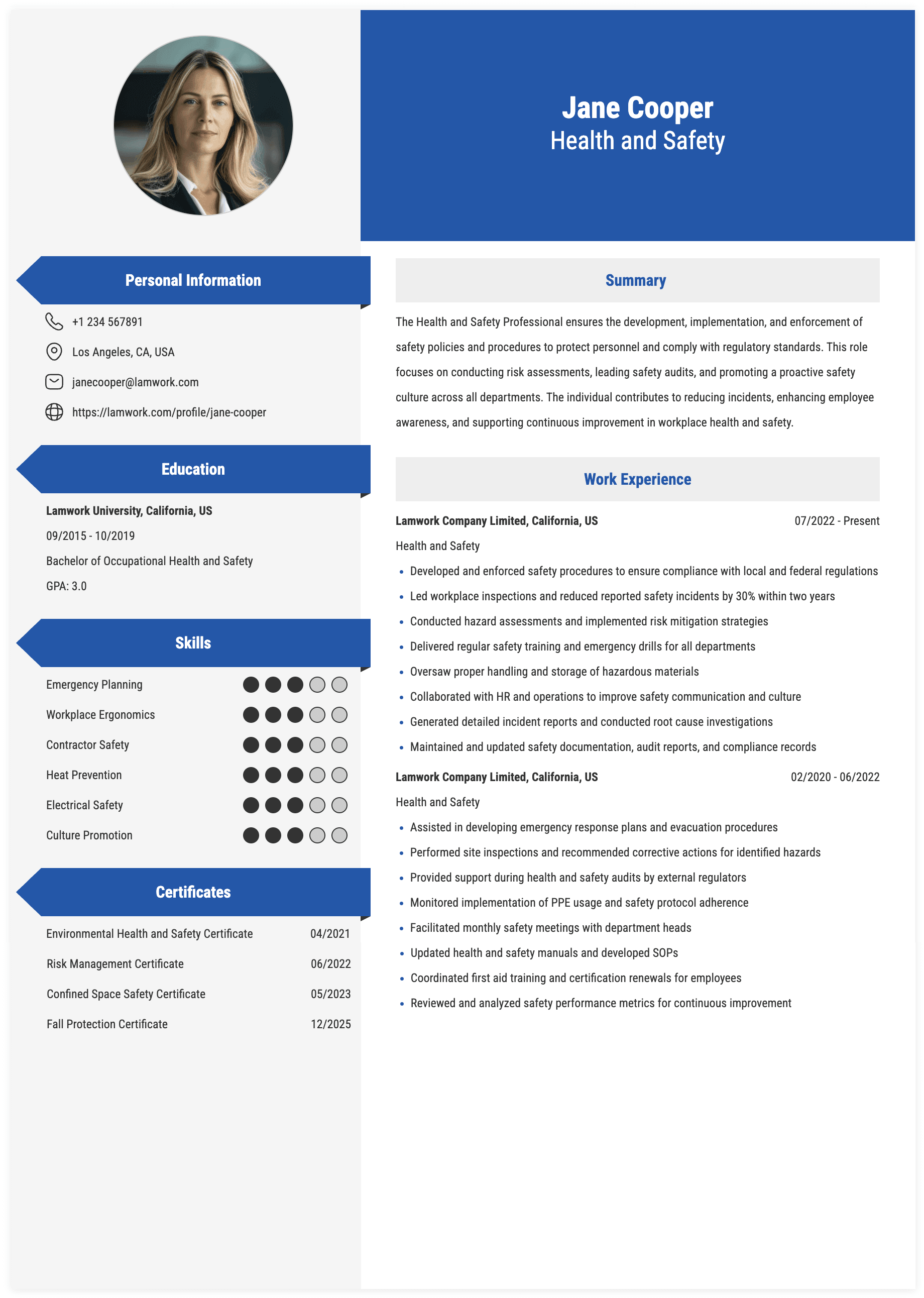 Health and Safety Resume Example