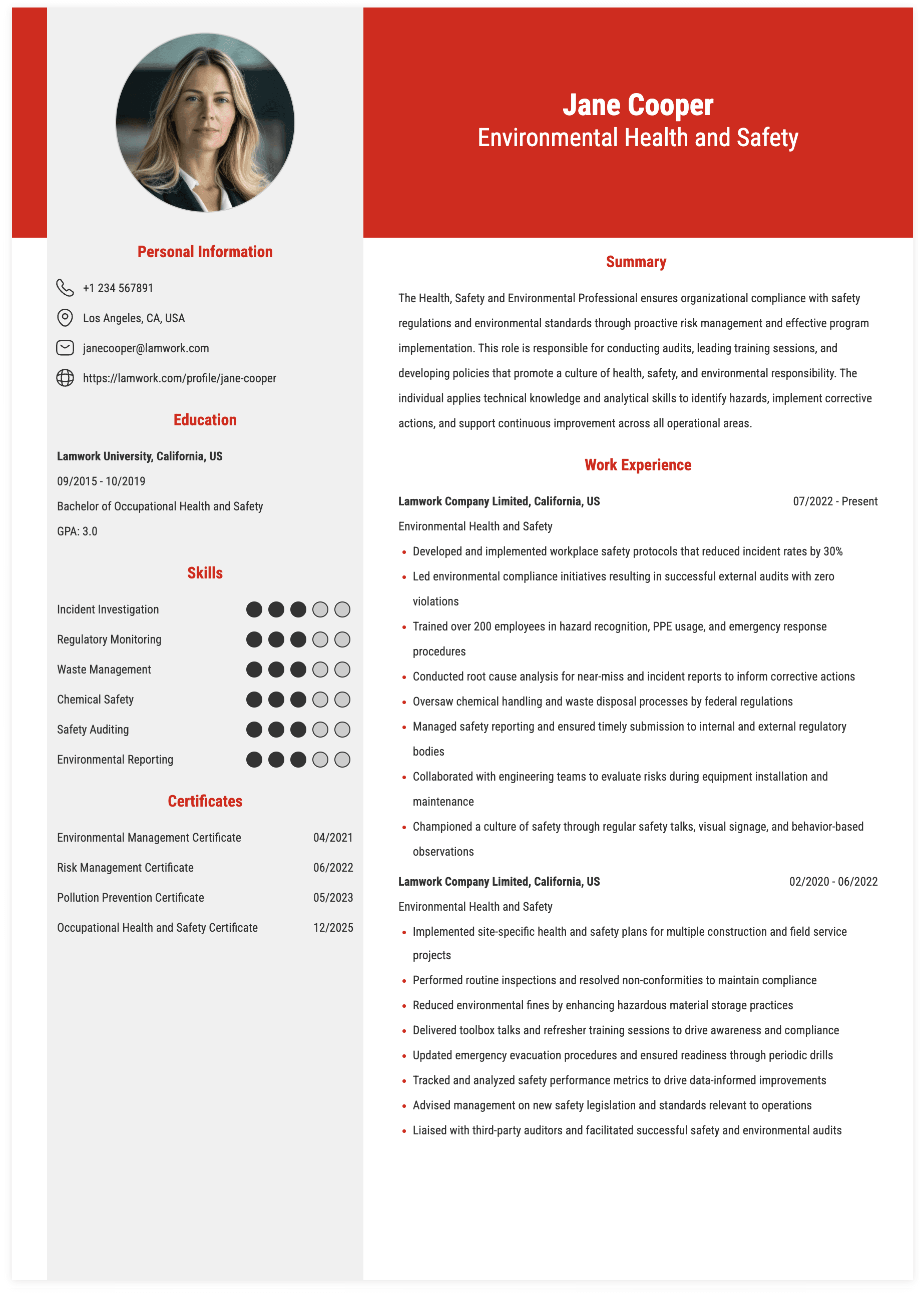 Environmental Health and Safety Resume Example