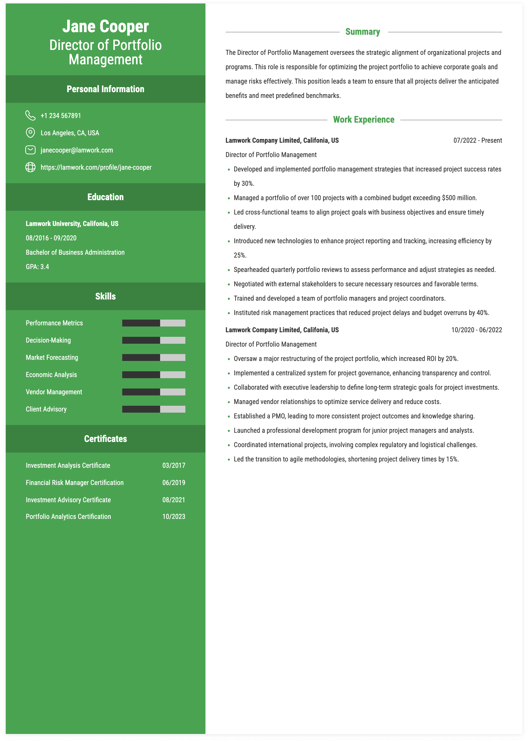 Director of Portfolio Management Resume Example