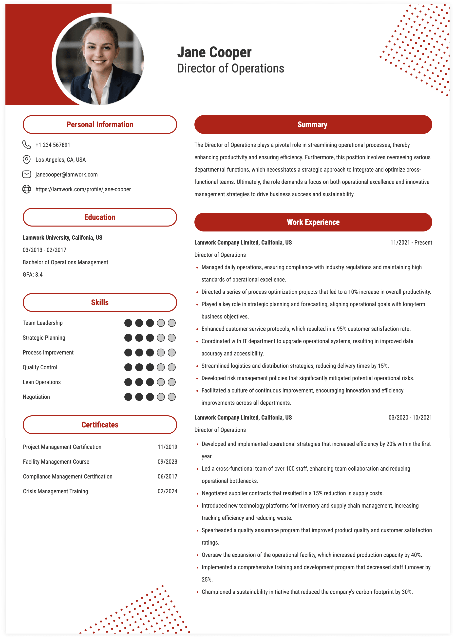 Director of Operations Resume Example