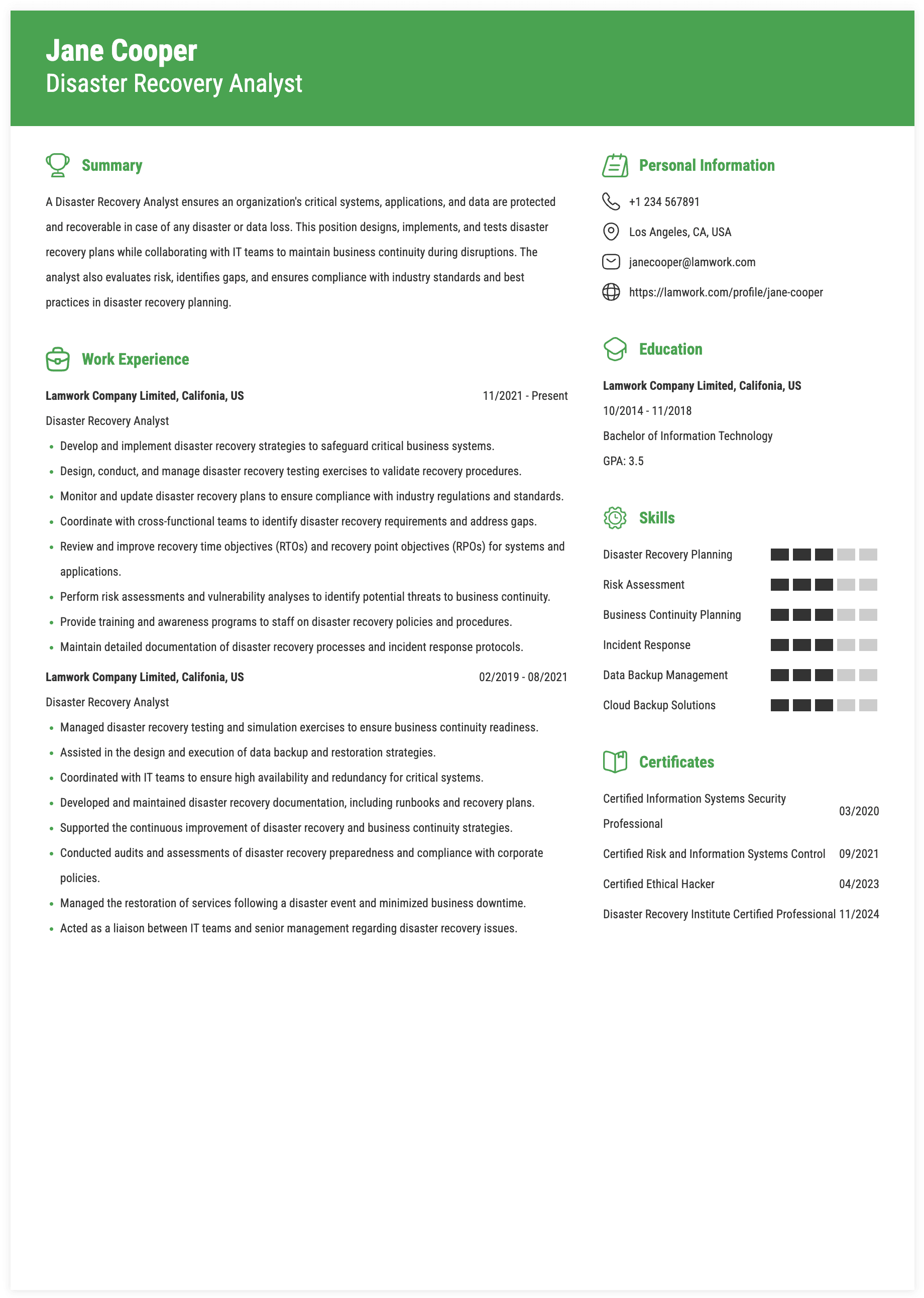 Disaster Recovery Analyst Resume Example