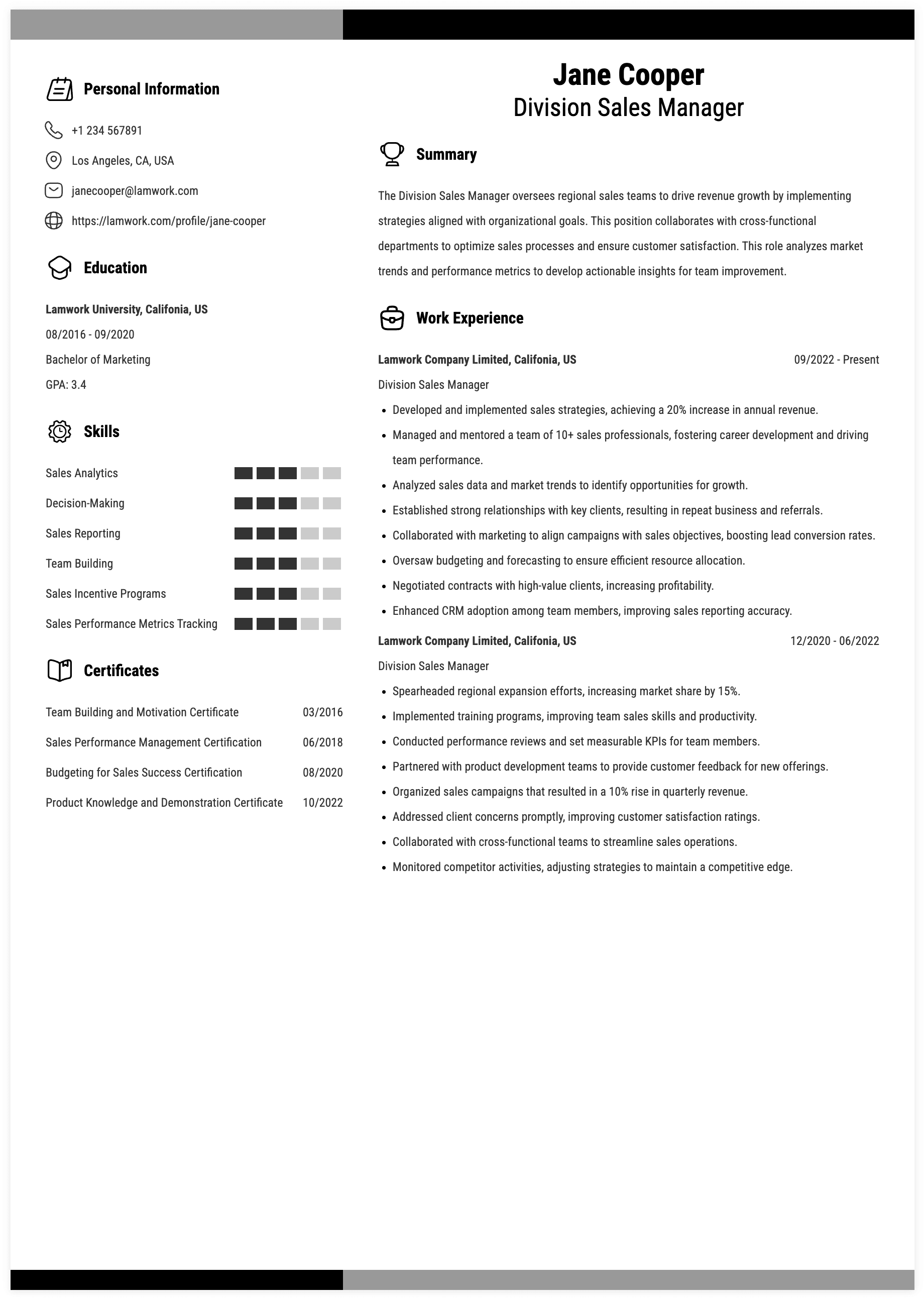 Division Sales Manager Resume Example