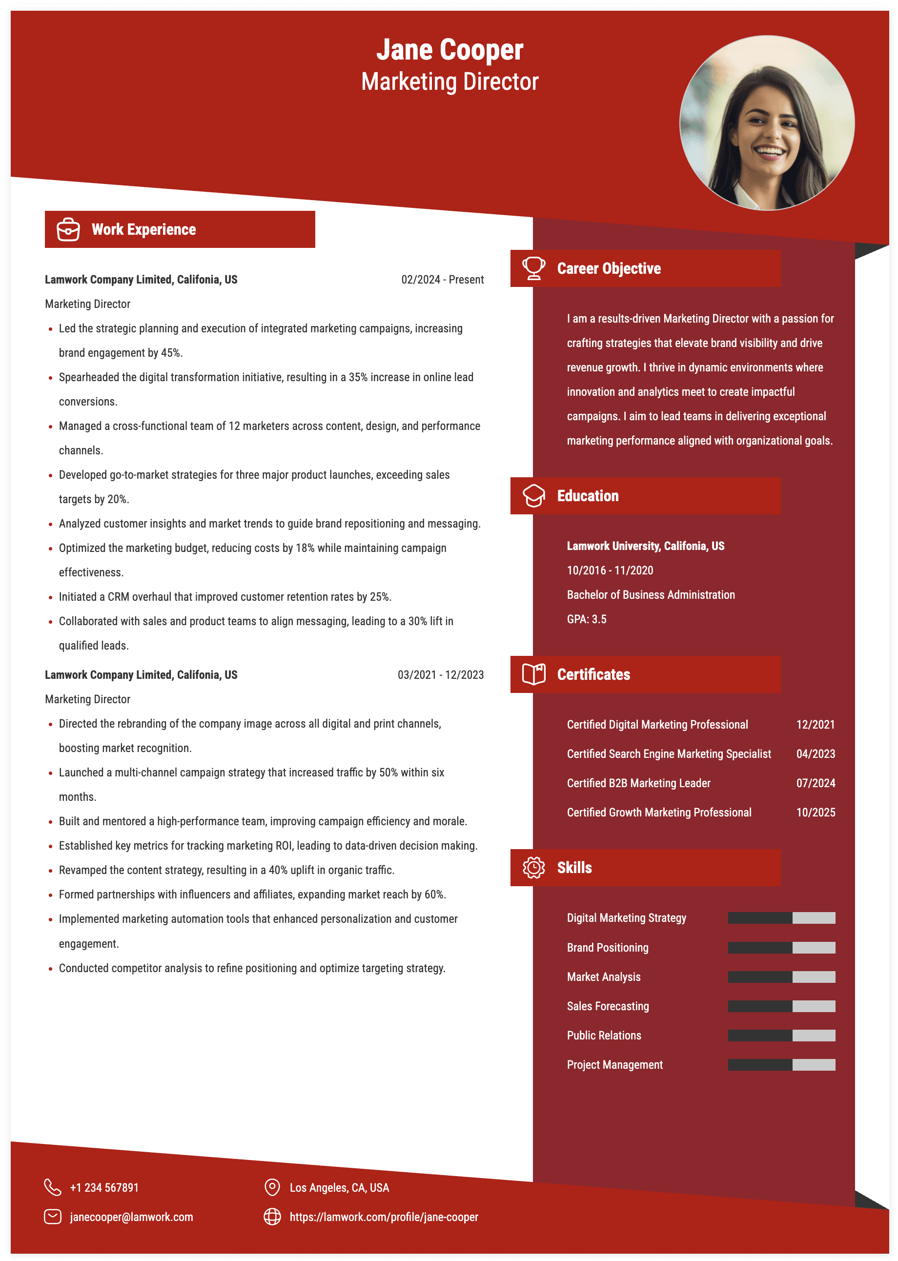 Marketing Director Resume Example